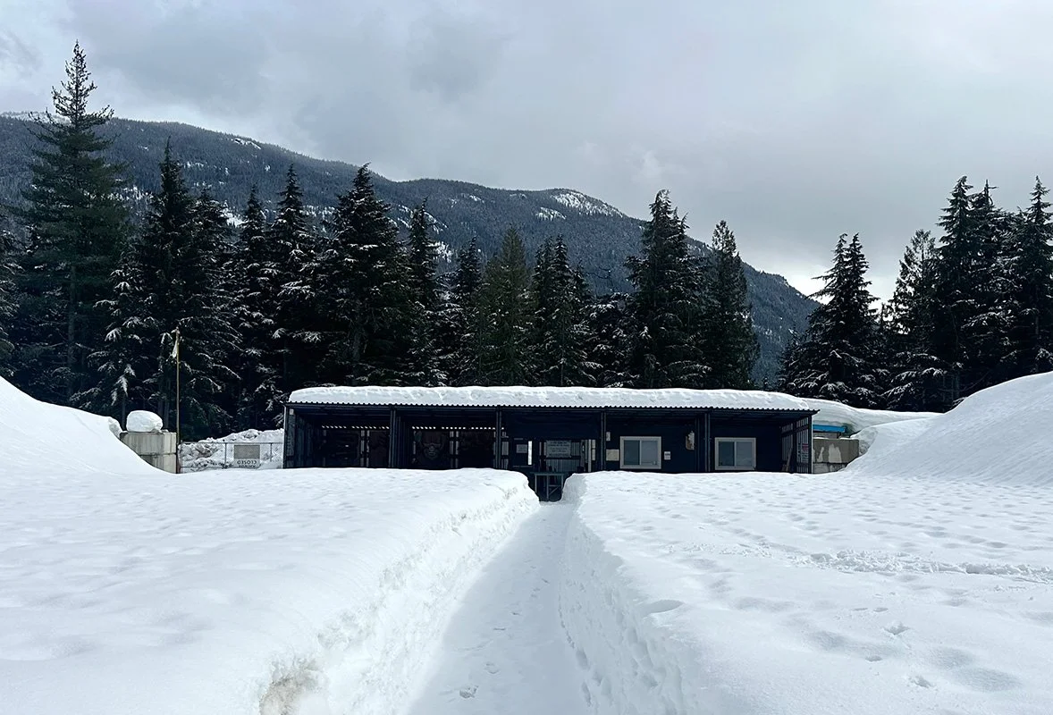A snow-covered pathway leading to a dark building with a snow-covered roof, surrounded by tall evergreen trees and mountains in the background under a cloudy sky.