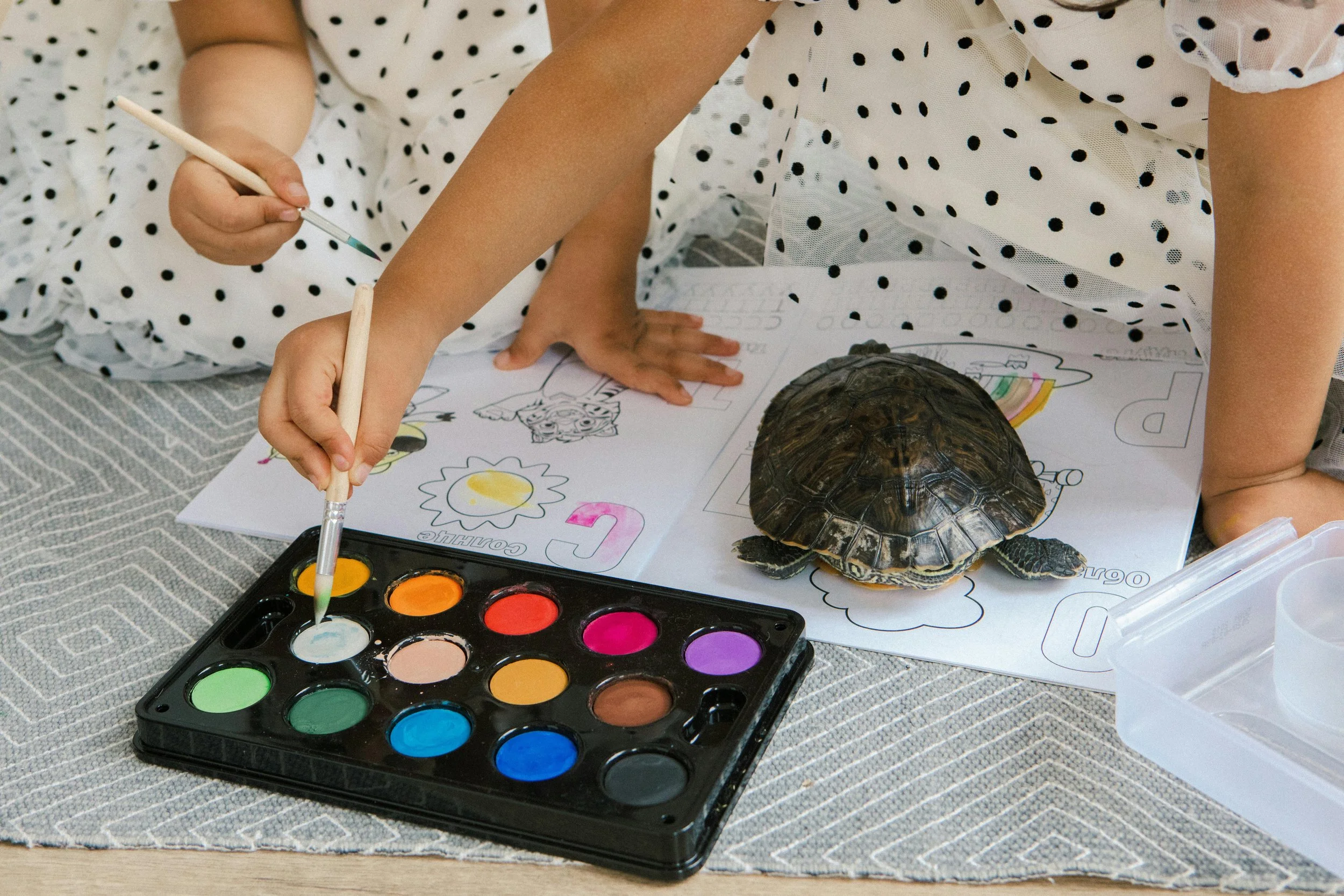Kids Painting Kit