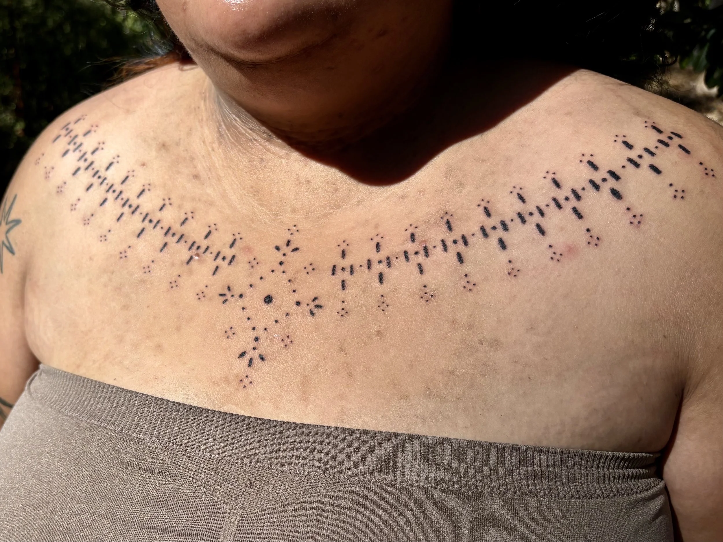 chest tattoo seeds.jpg