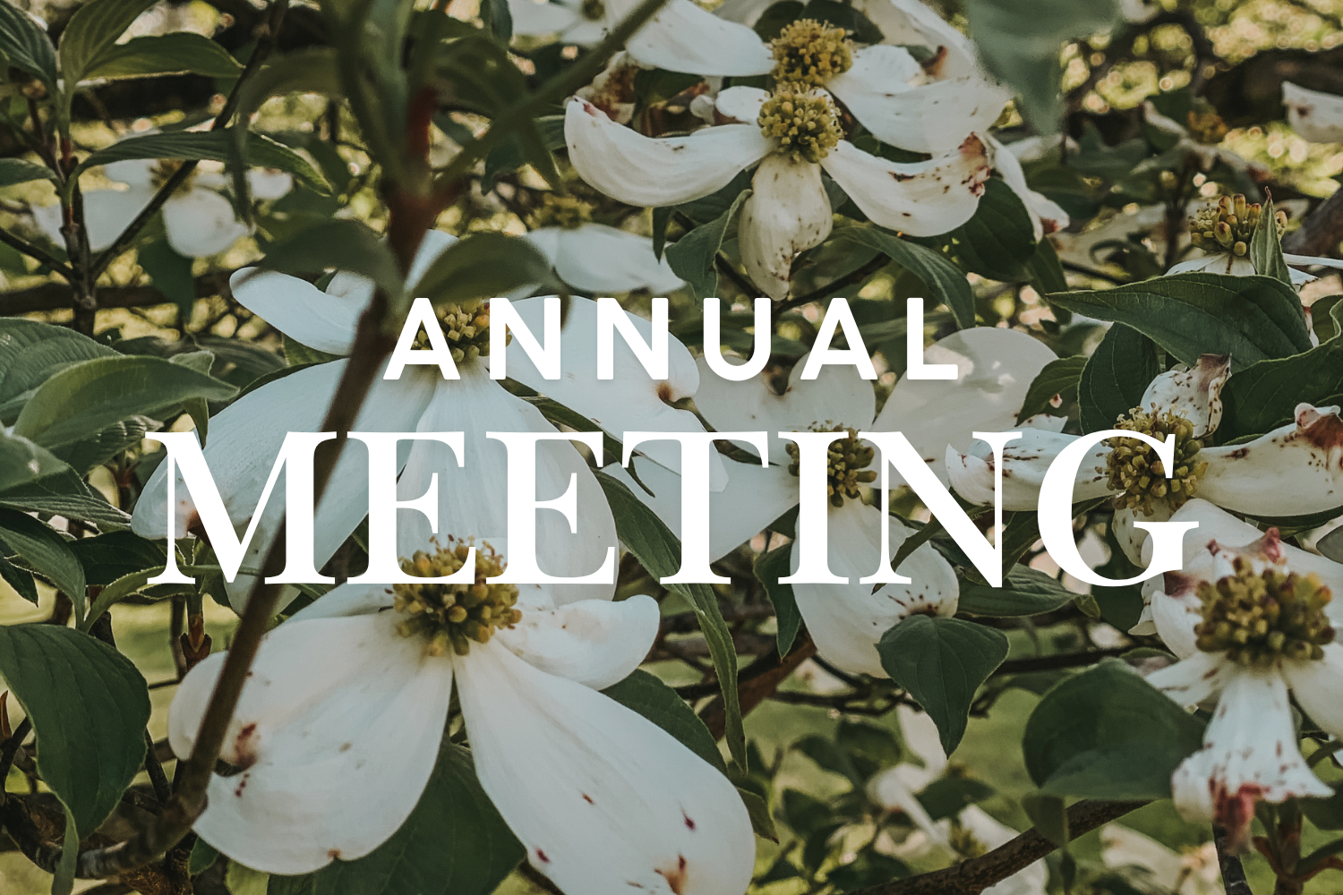 Belvoir Neighborhood Annual Meeting