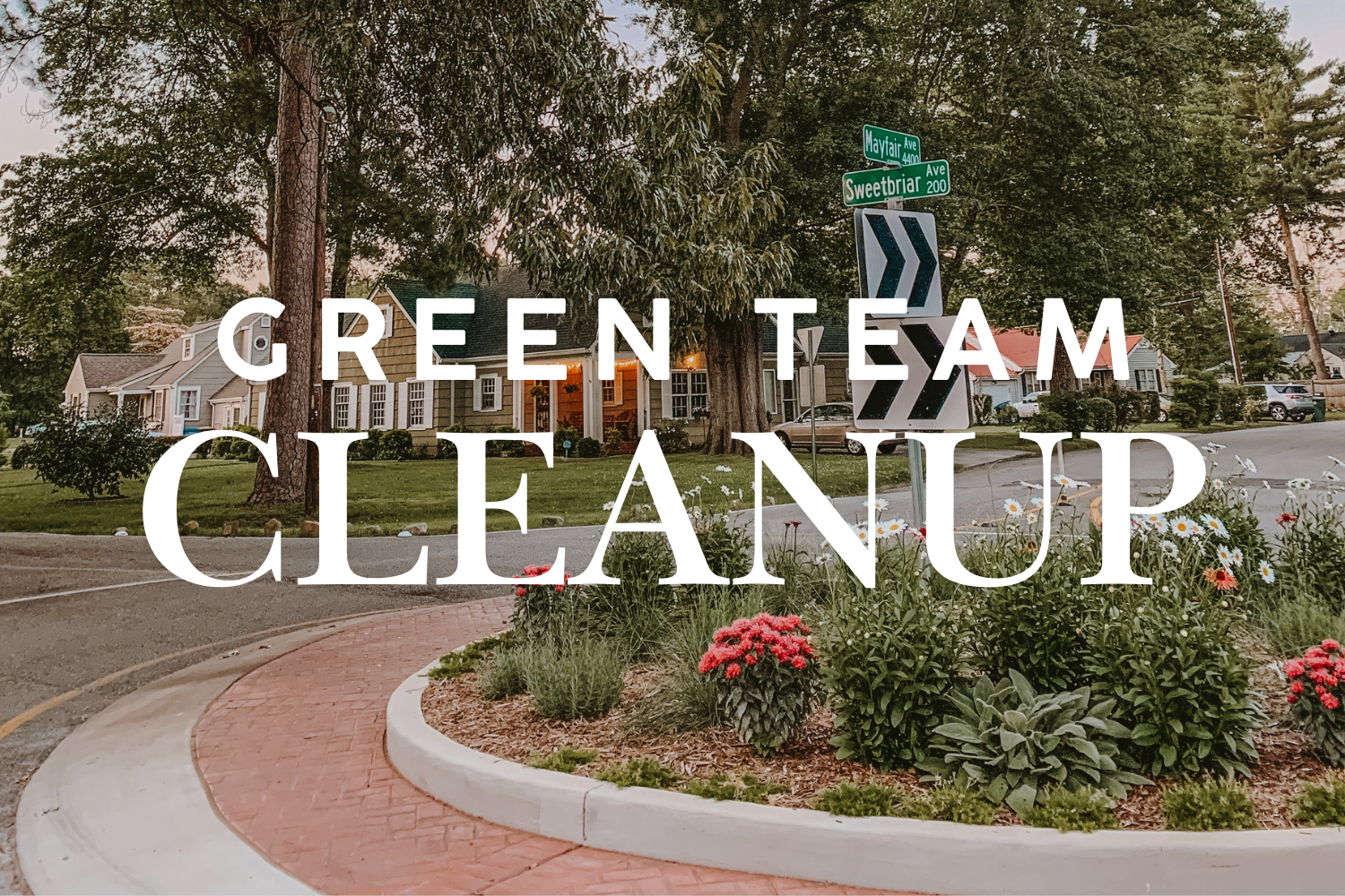Green Team Cleanup
