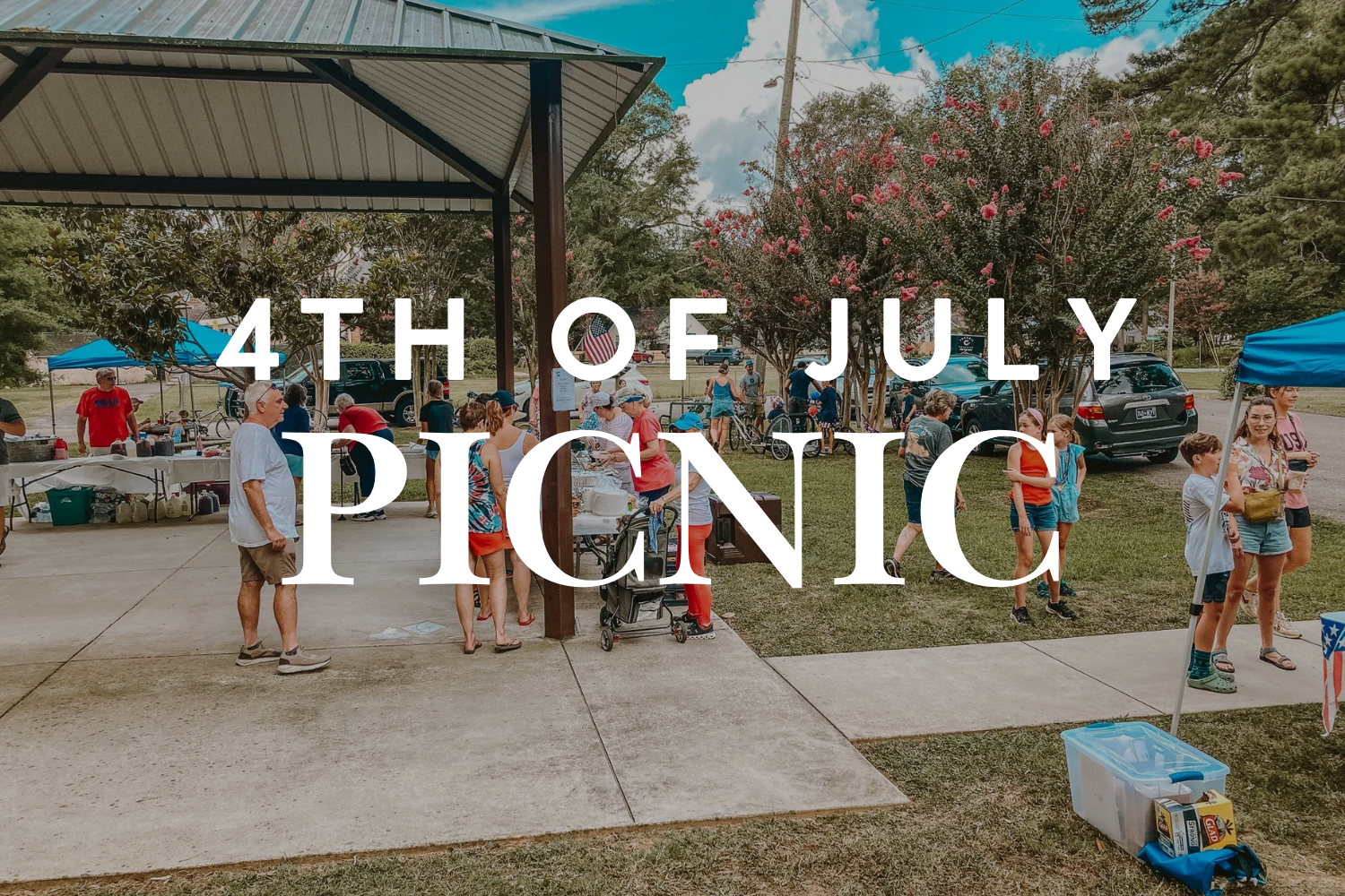 Annual 4th of July Picnic