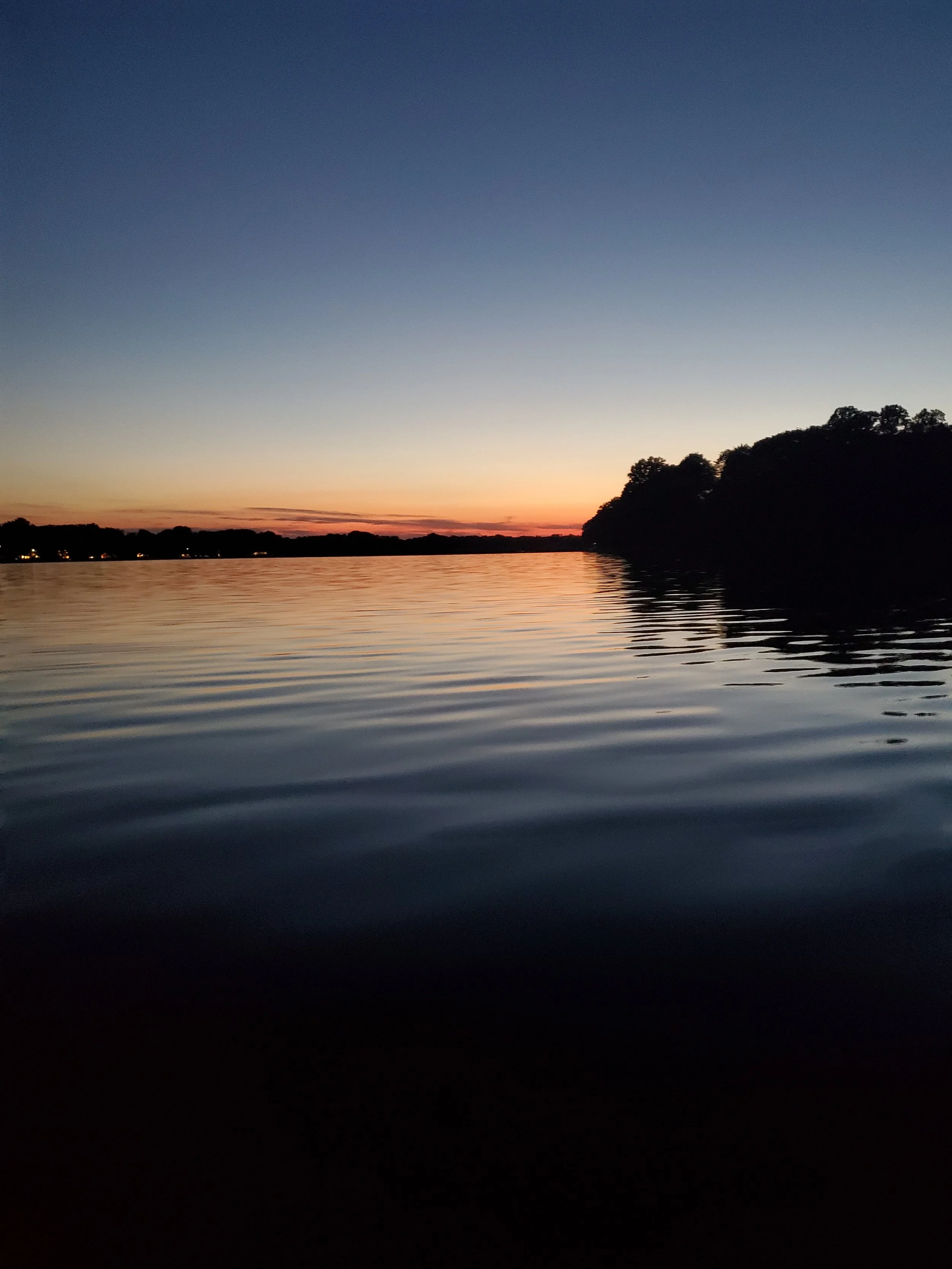 Customizable Eco-Tours of Michigan's Art Coast  - 2 Hours