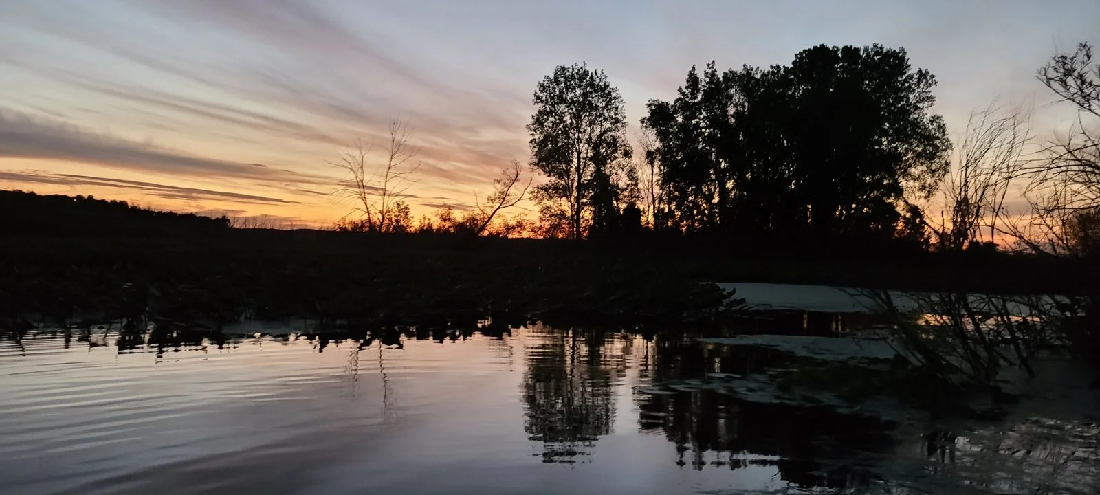 Customizable Eco-Tours of Michigan's Art Coast - 4 Hours