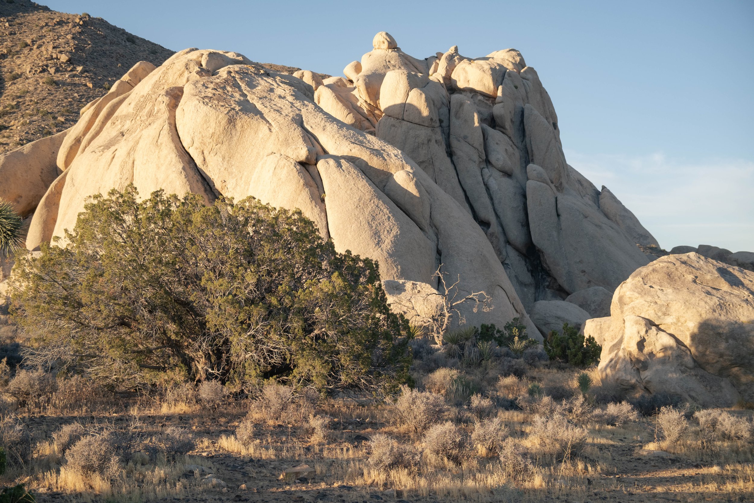Ryan Mountain
Joshua Tree National Park
June 2026