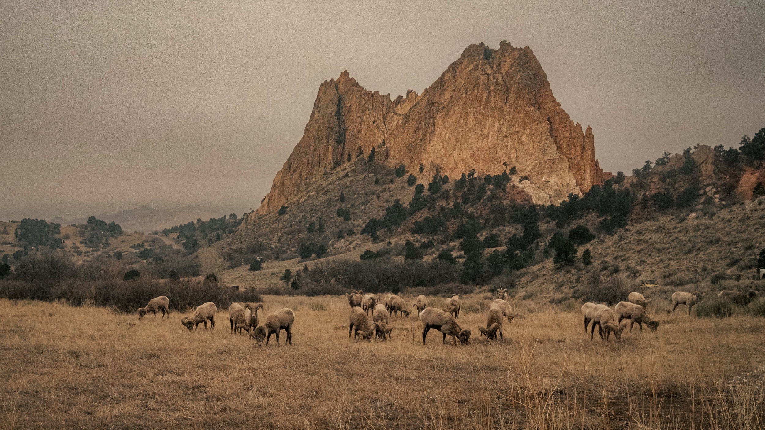 Garden of the Gods
Colorado
March 2023
