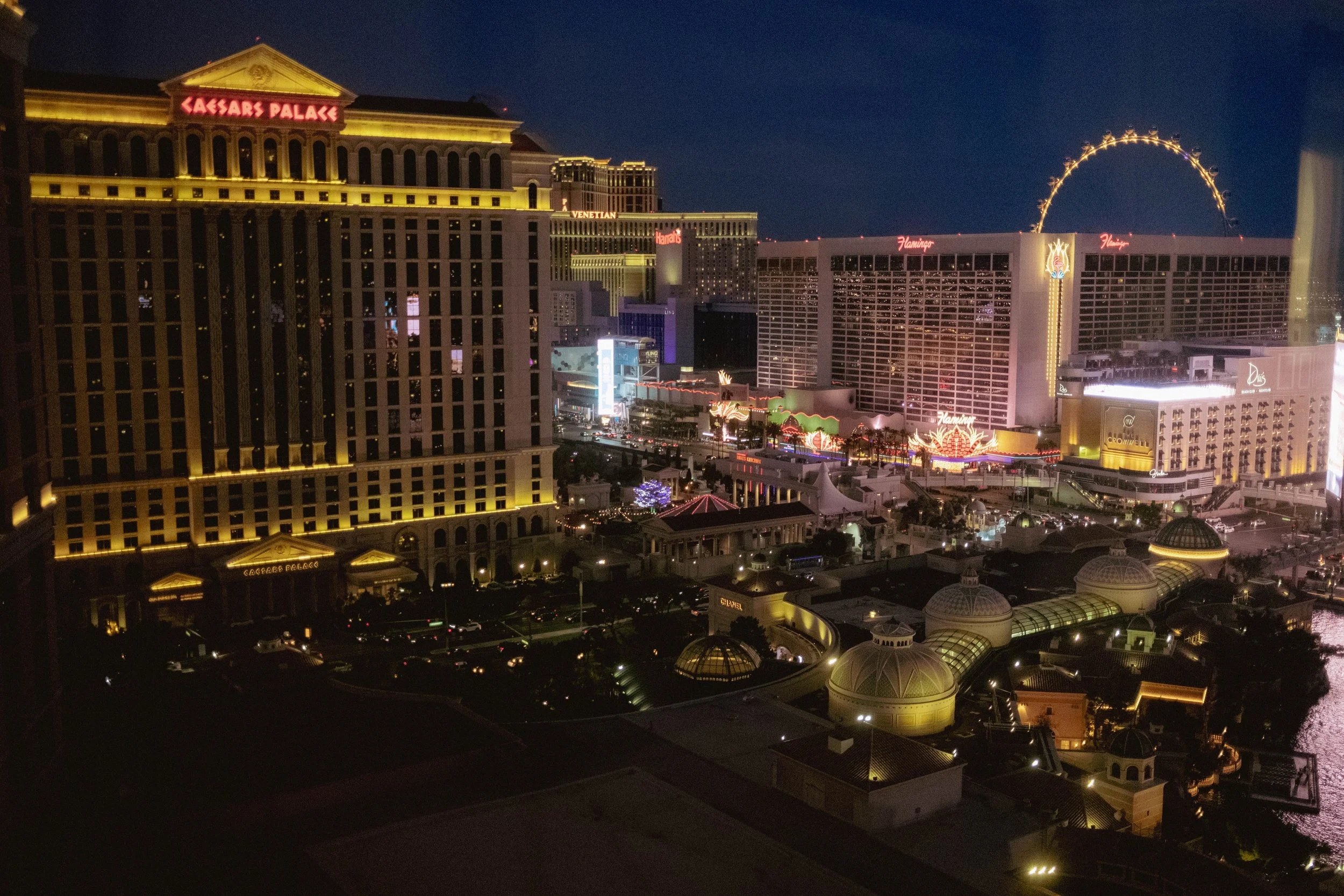 When the Neon Comes Alive