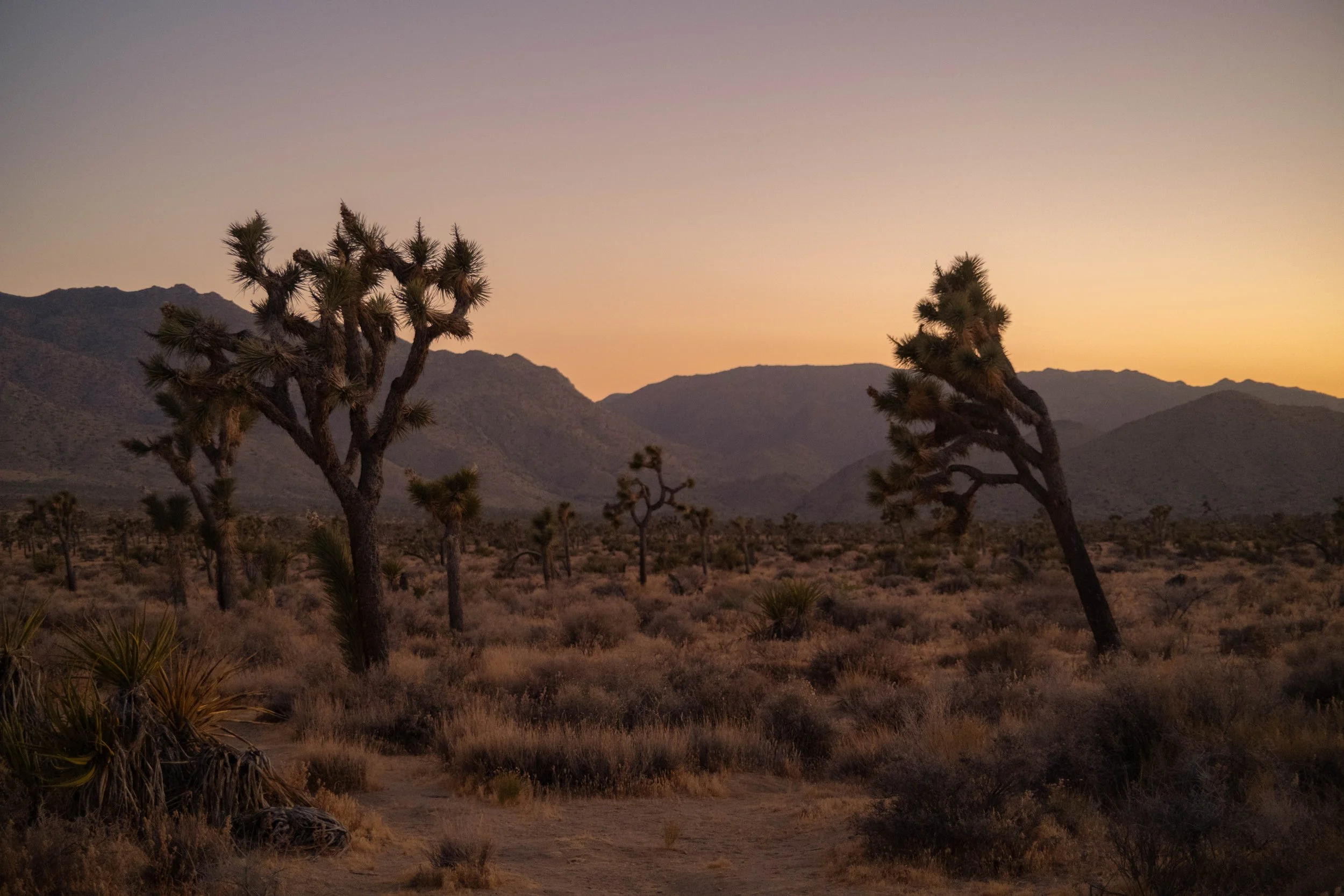 Last Light