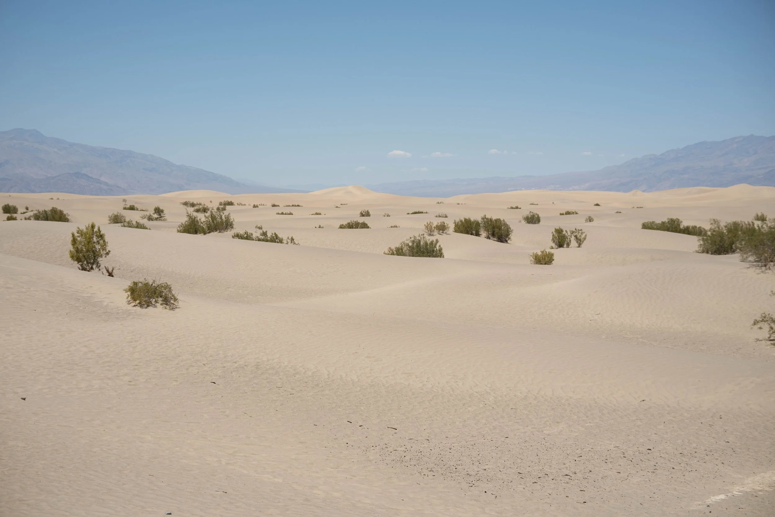 Mesquite Flat Sand Dunes
Death Valley National Park
June 2026