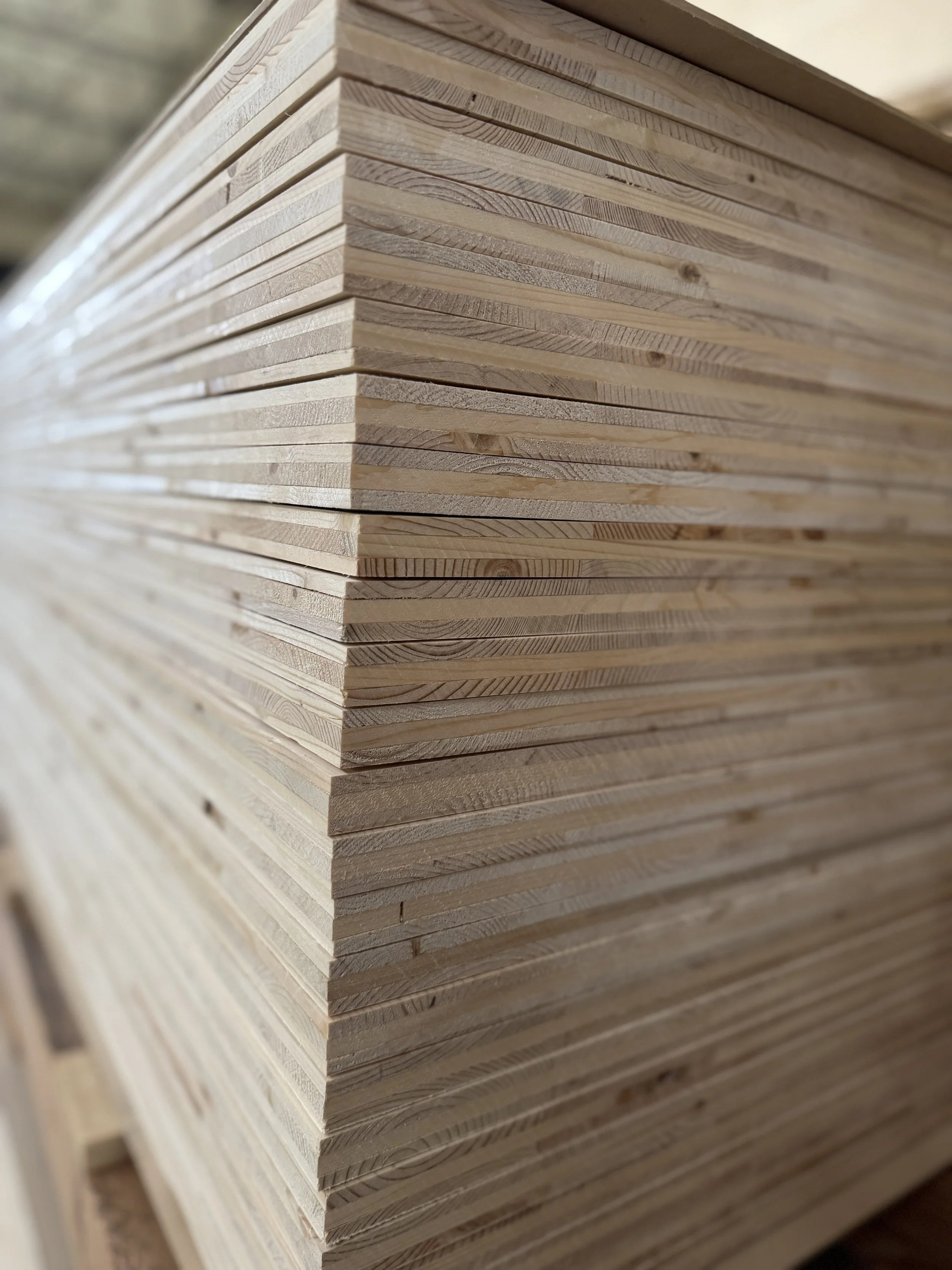 Thin CLT at Scale: Domestic Manufacturing for Growing Mass Timber Demand
