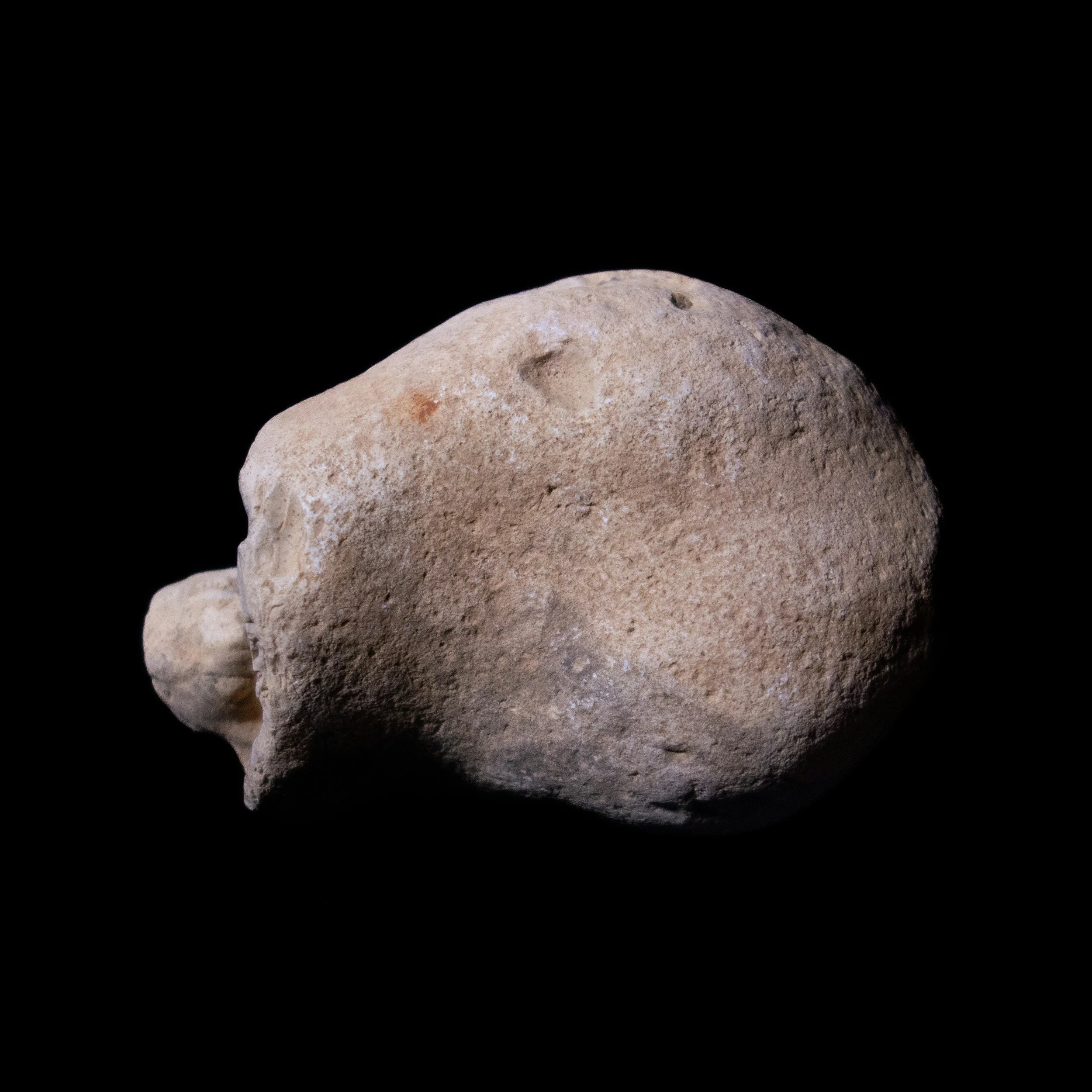 An irregularly shaped asteroid in space with a reddish surface.