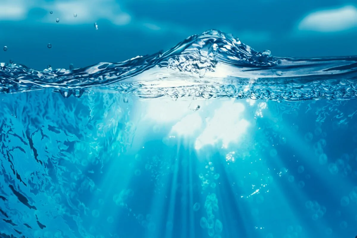 22 de Marzo: Día mundial del agua