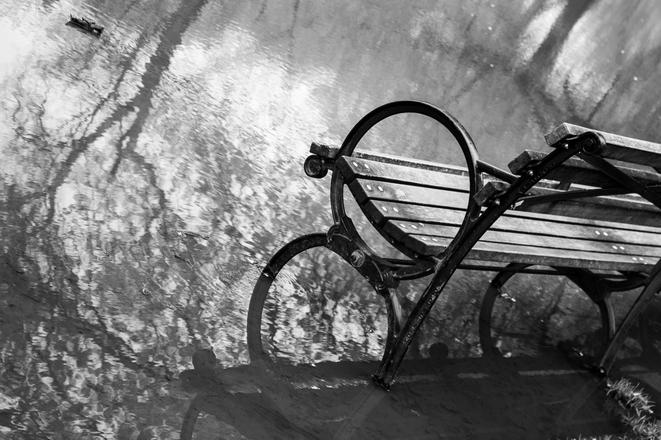 Image of an empty wooden park bench with metal frame, next to a small puddle of water reflecting trees and sky.