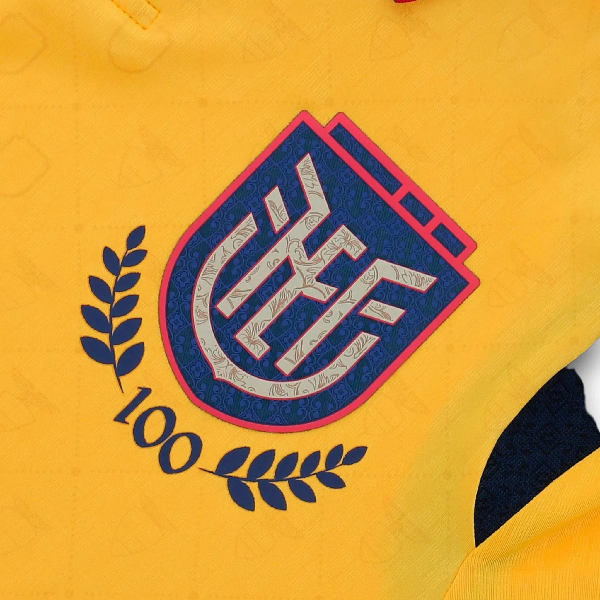 camiseta-ecuador-2025-26-100th-local-Photoroom.jpg.webp