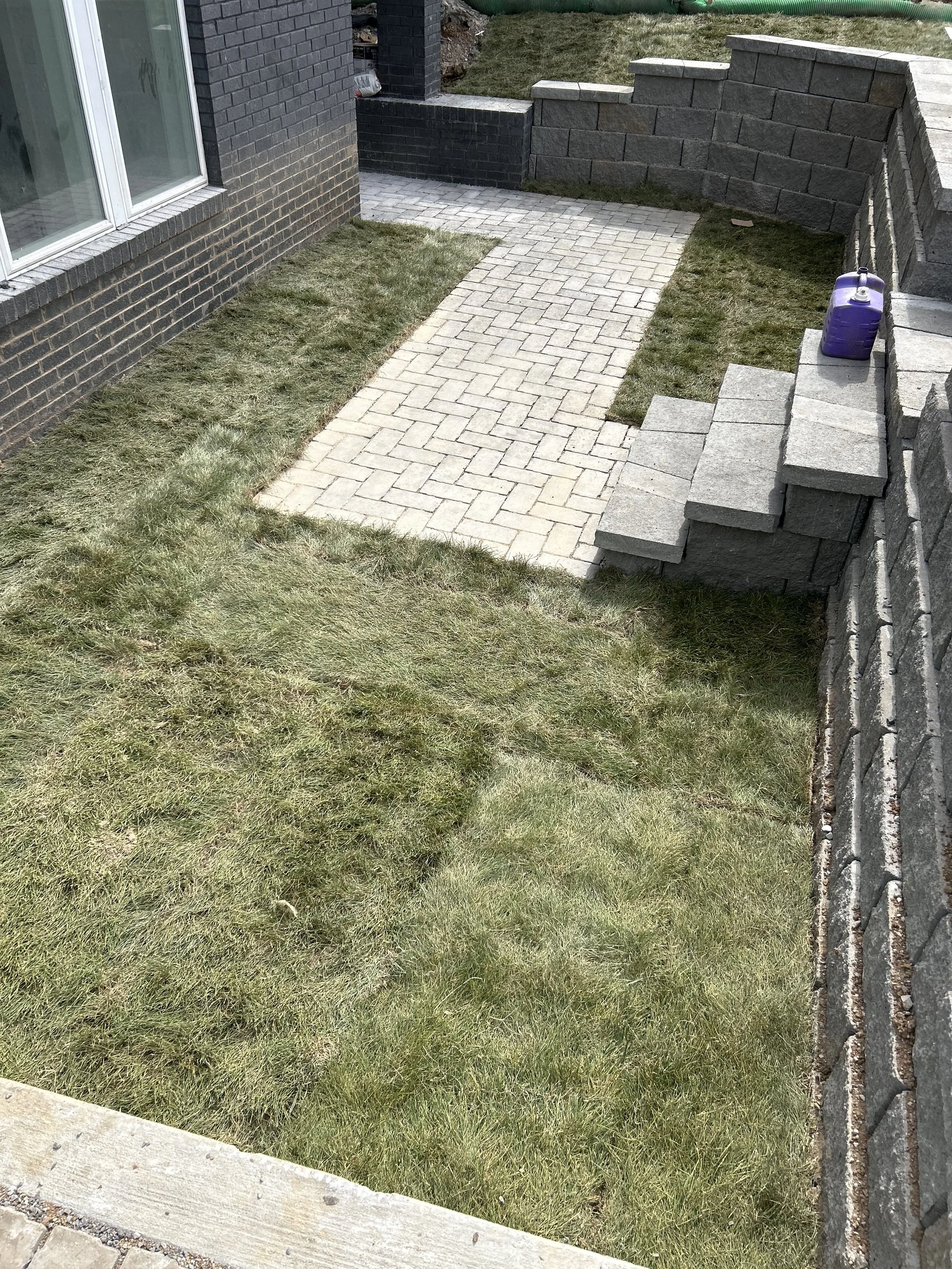 A small backyard with a brick paved pathway, surrounding grass, a brick wall on one side, and a stone wall with steps on the other side. A purple container is on the stone steps.
