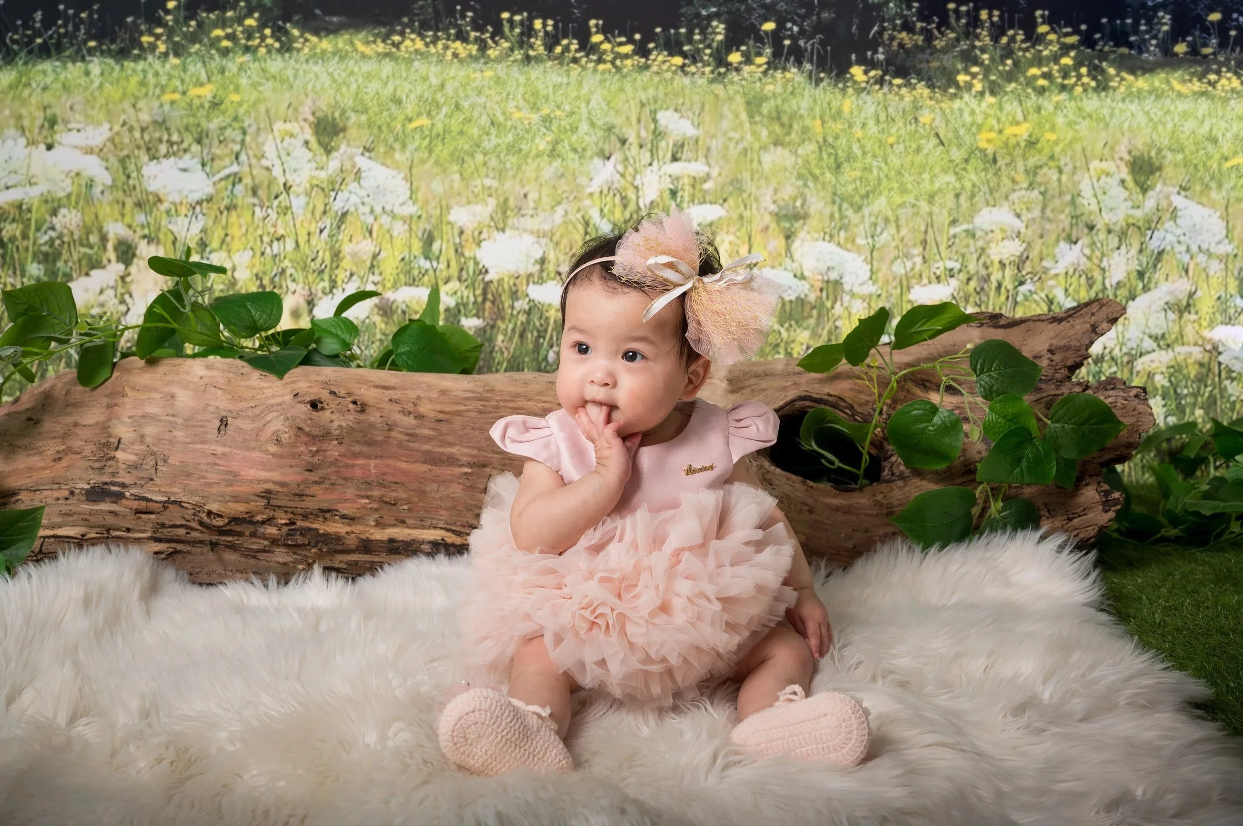 A baby girl wearing a pink dress with ruffles, pink shoes, and a large pink bow headband, sitting on a white furry rug in front of a backdrop resembling a field of white and yellow flowers, with green leaves and a piece of driftwood in the background.