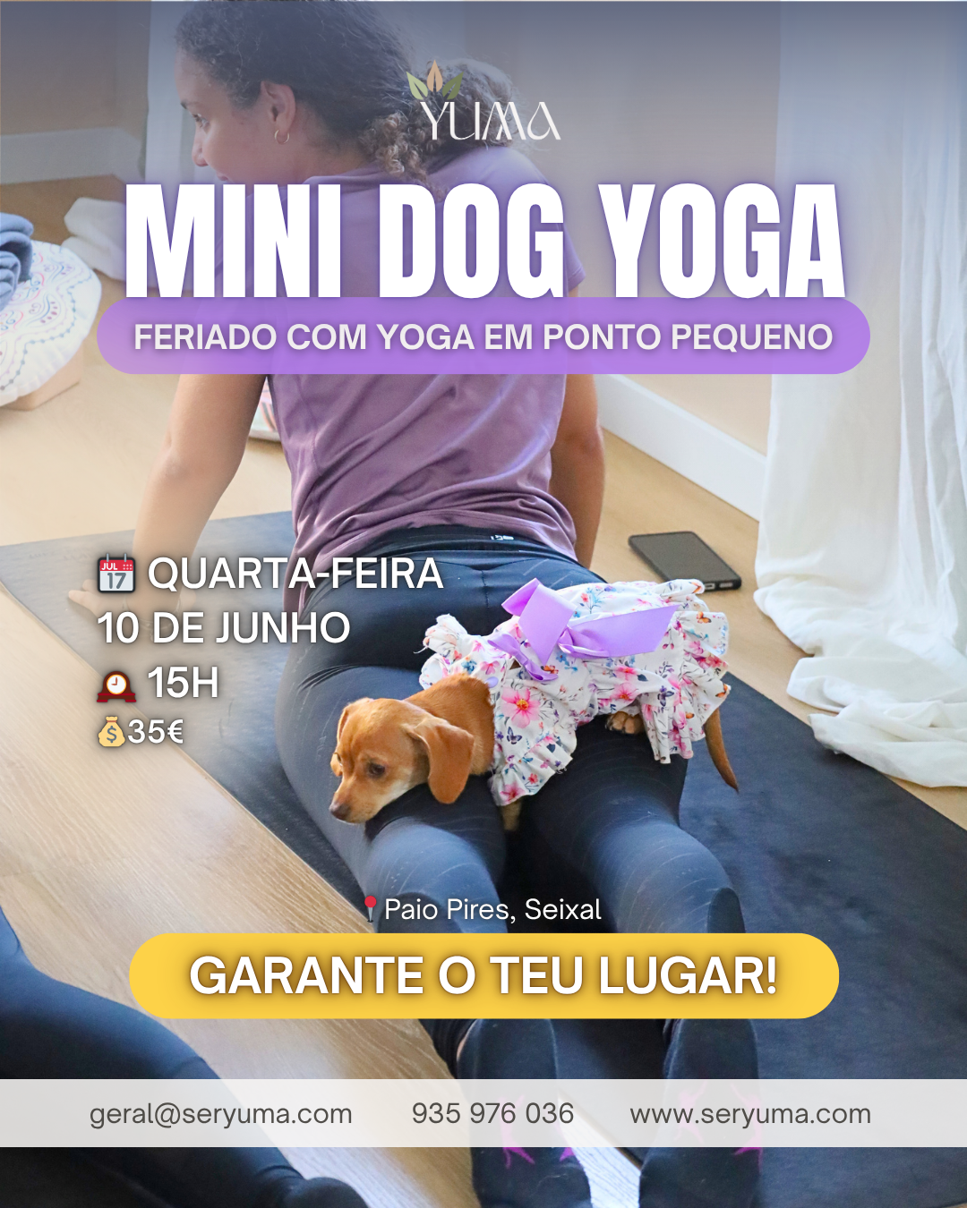 Mini Dog Yoga