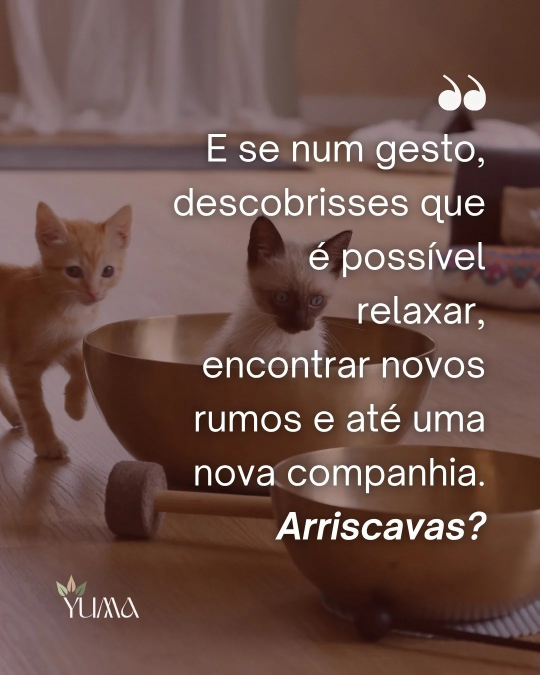 &Agrave;s vezes, tudo come&ccedil;a num pequeno gesto 🤍
Uma pausa.
Um momento de presen&ccedil;a.
Uma experi&ecirc;ncia diferente da rotina.

No meio da correria dos dias, permitires-te experimentar algo novo pode trazer muito mais do que imaginas: 