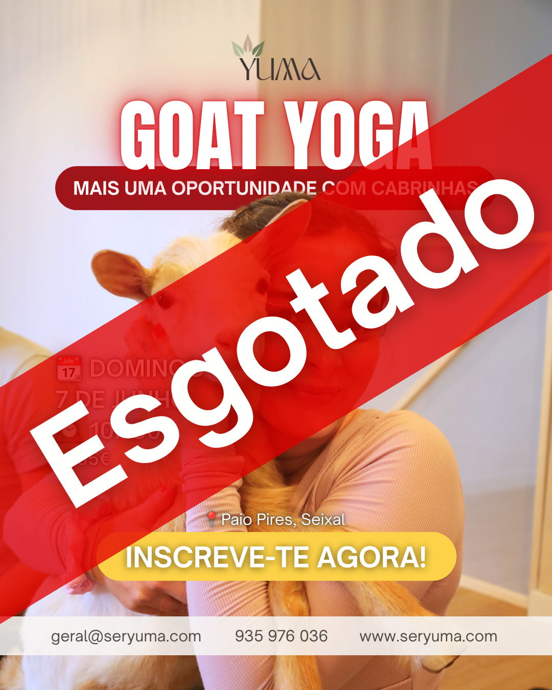 Goat Yoga - 7 de Junho