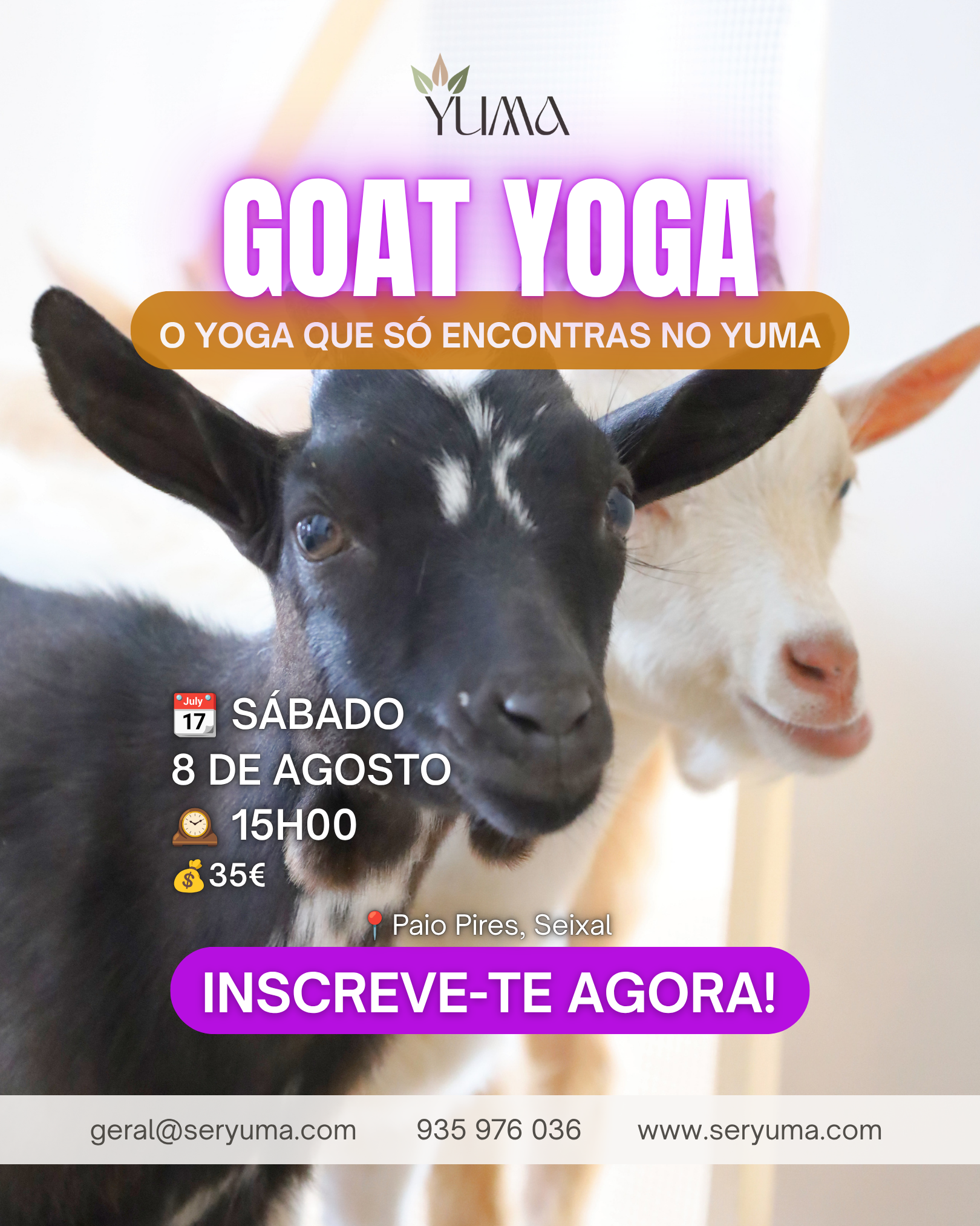 Goat Yoga - 8 Agosto