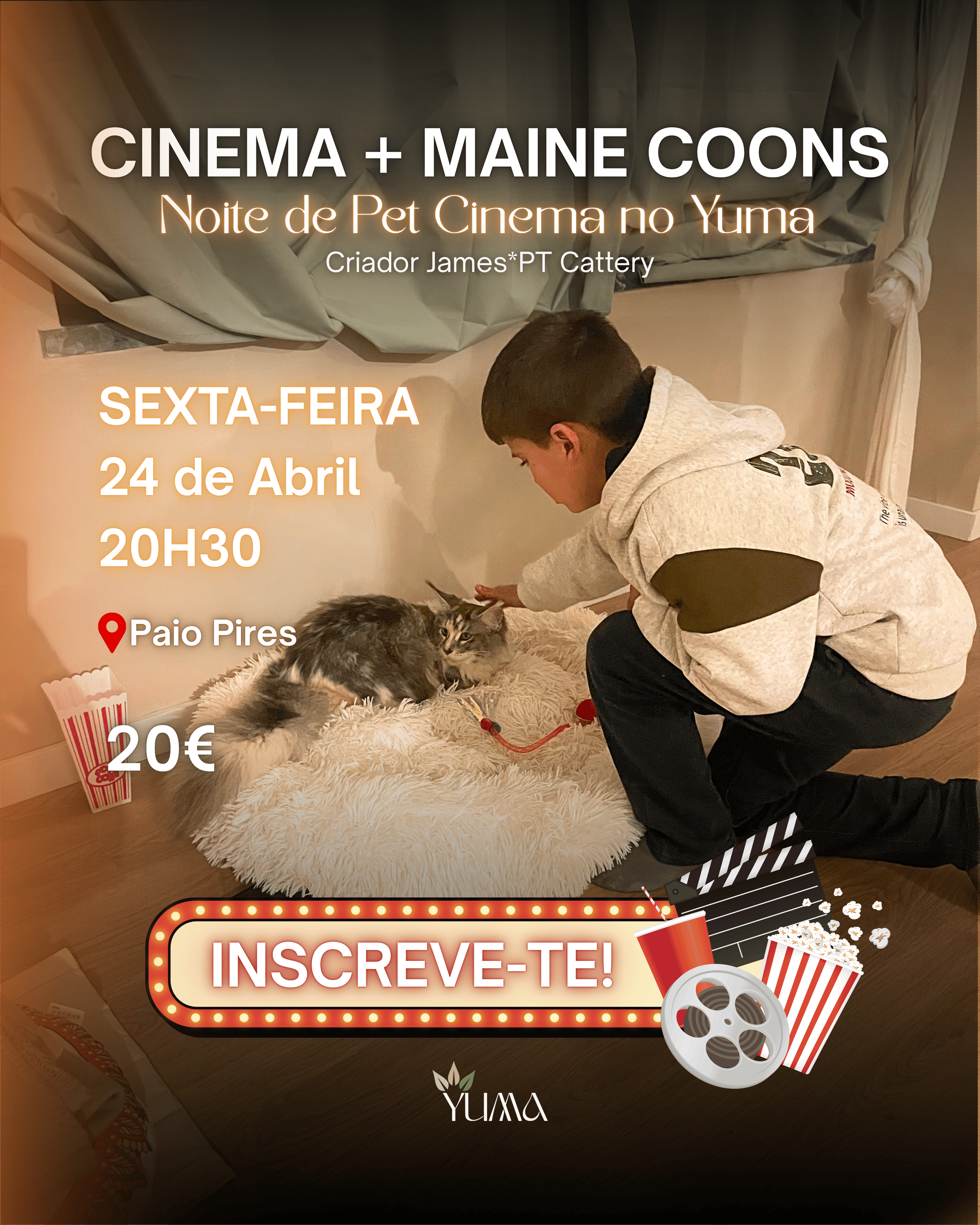 Pet Cinema com Maine Coons