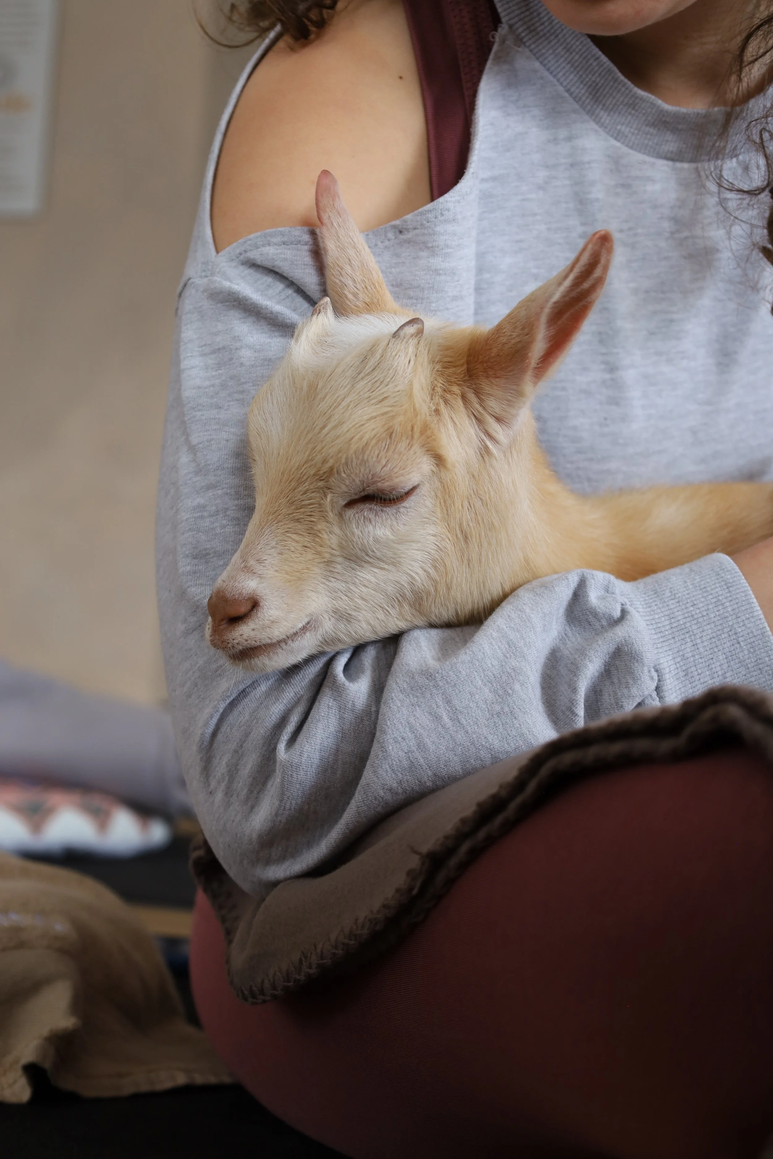 No Goat Yoga do Yuma, cada sessão é também um momento de ternura e conexão. 🤍