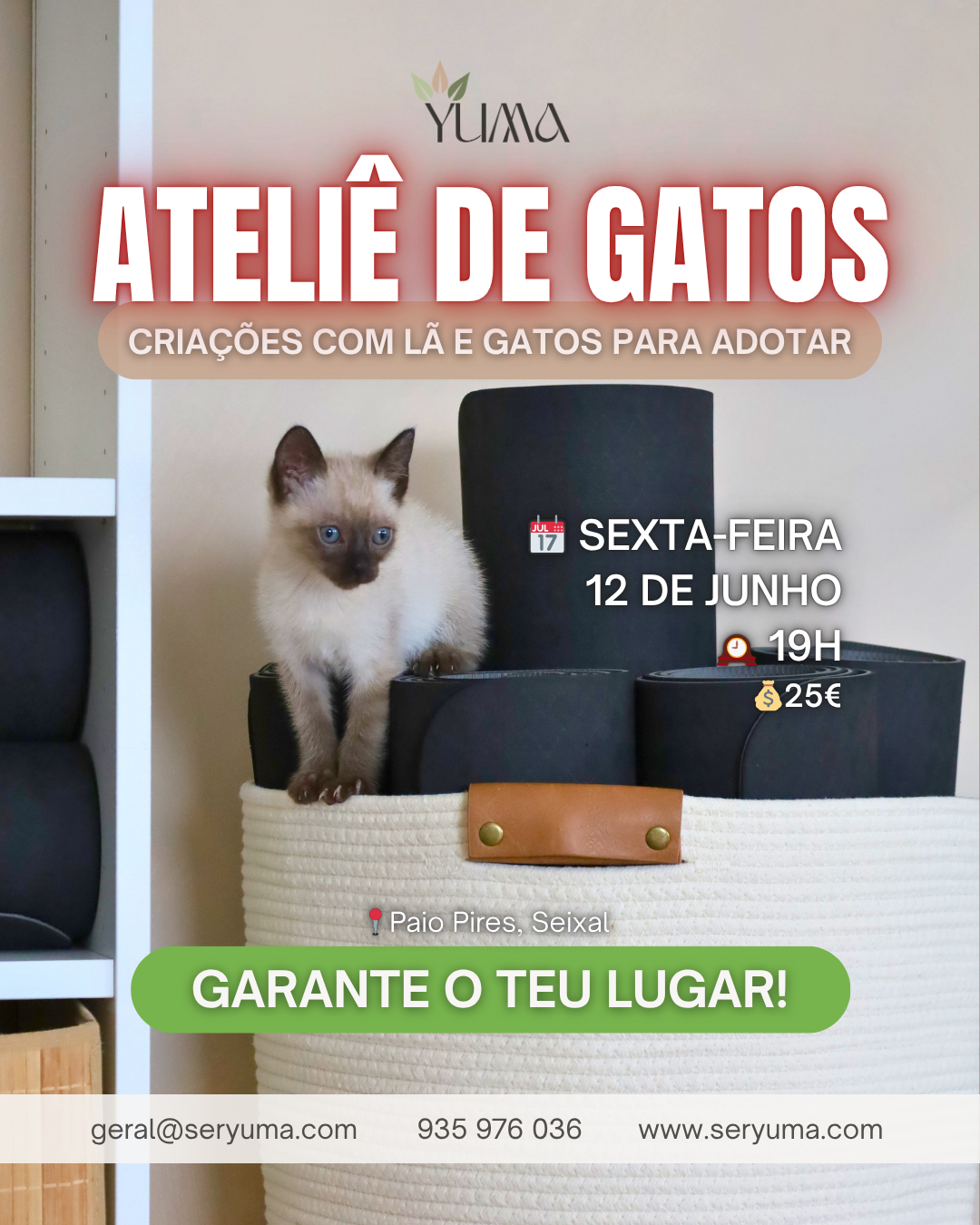 Ateliê de Gatos
