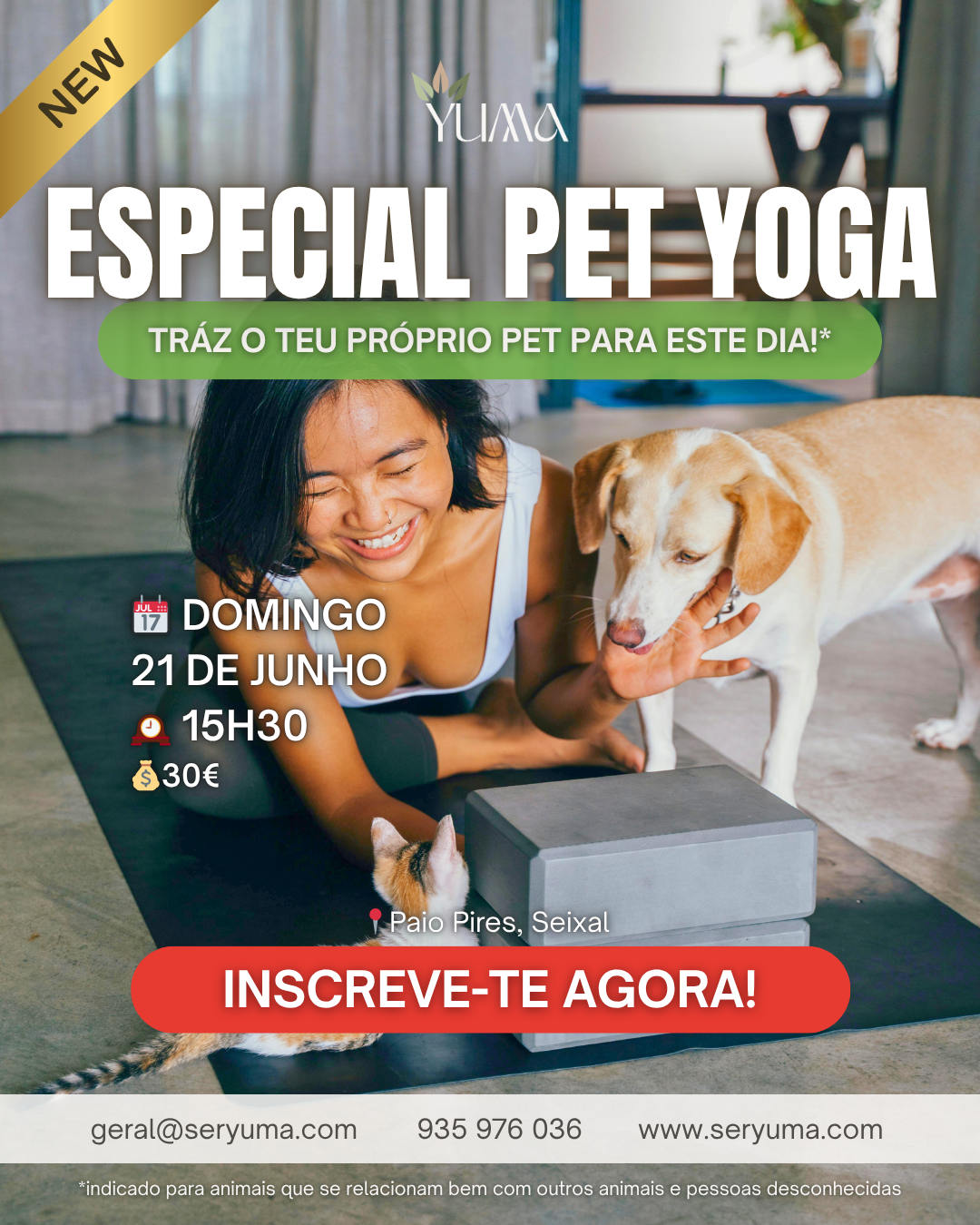 (NEW) - Especial Pet Yoga