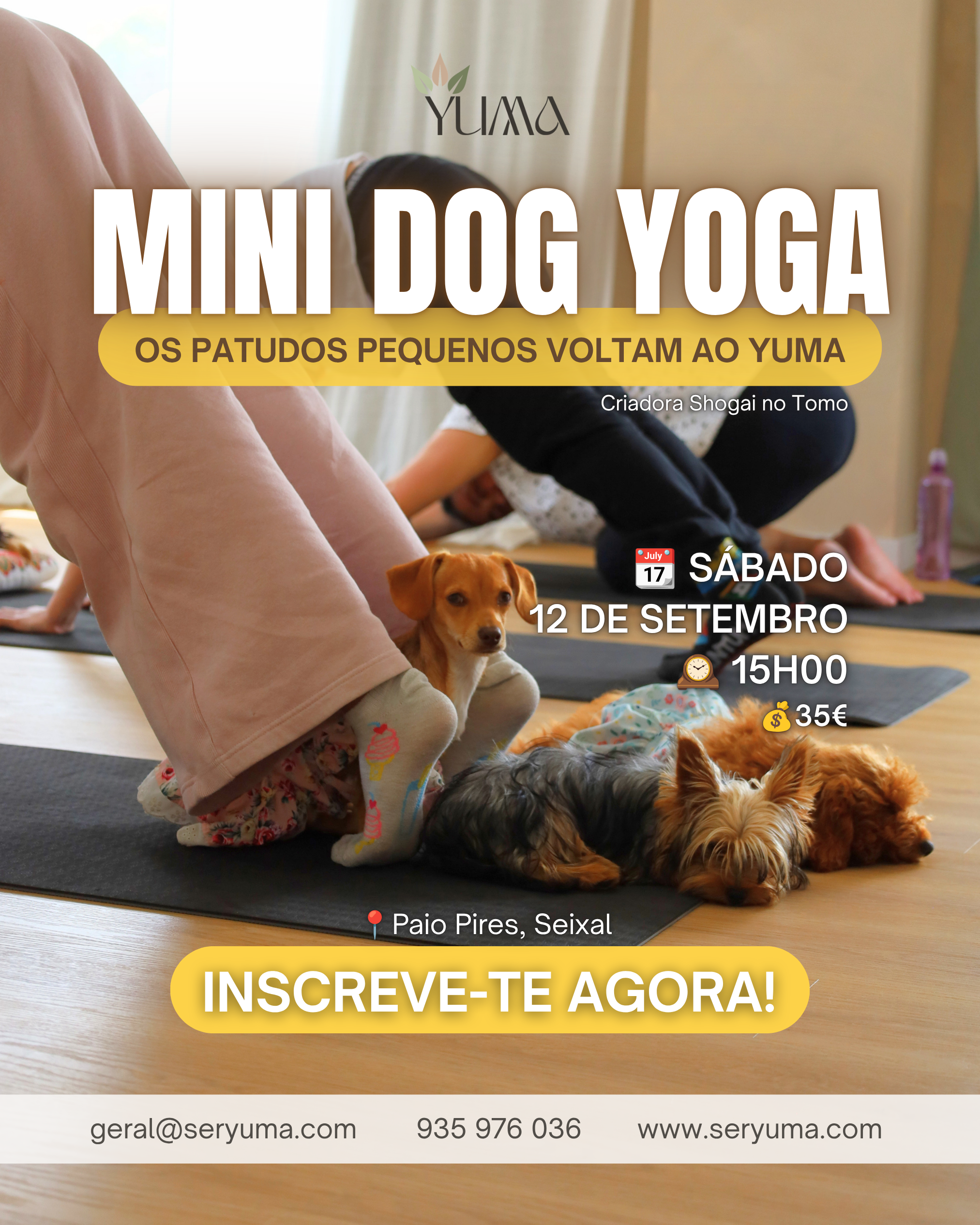 Mini Dog Yoga