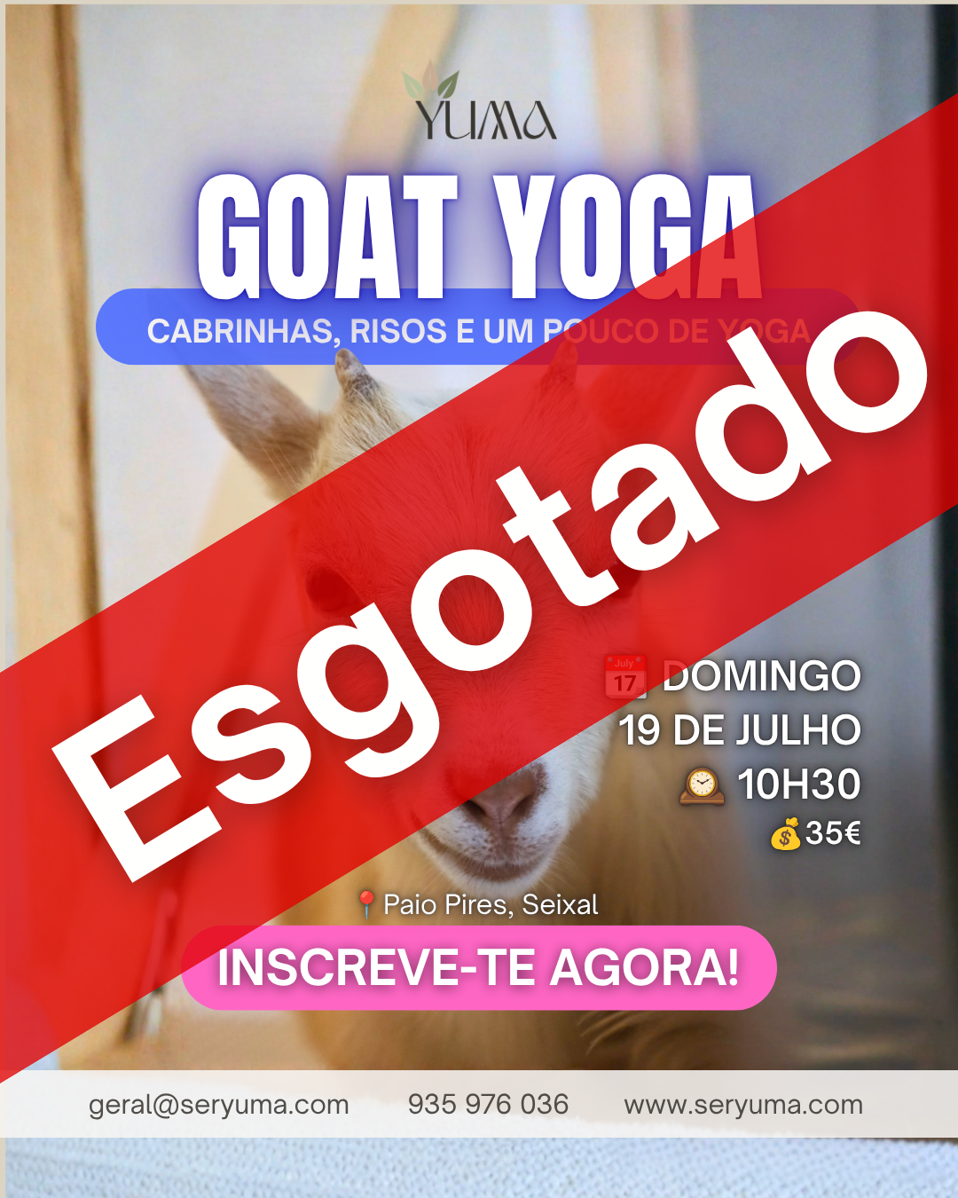 Goat Yoga - 19 Julho