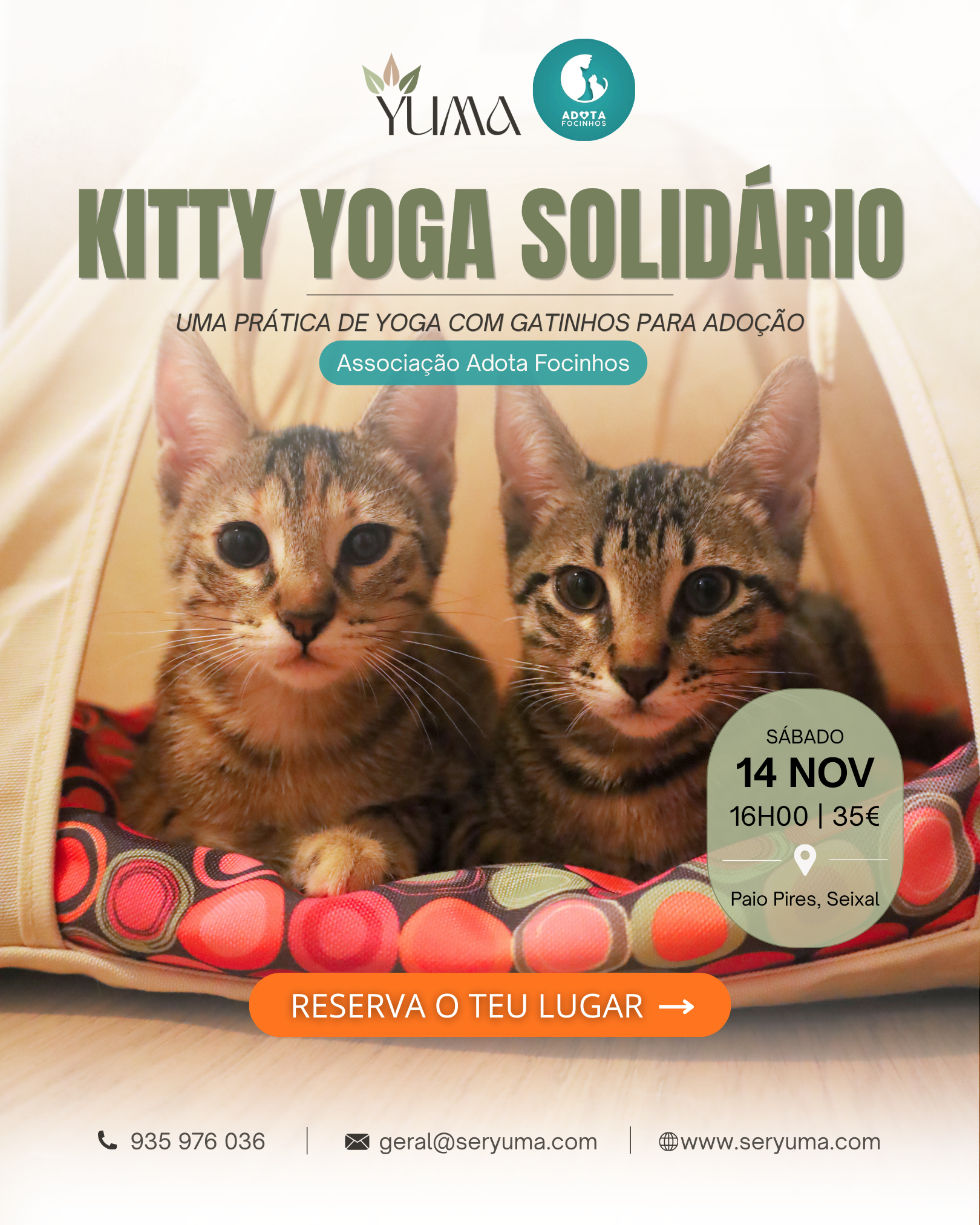 Yoga com gatinhos - gatos para adotar - Associação Adota Focinhos - 14 Novembro - Ser Yuma - seryuma.com - Paio Pires - Seixal.png