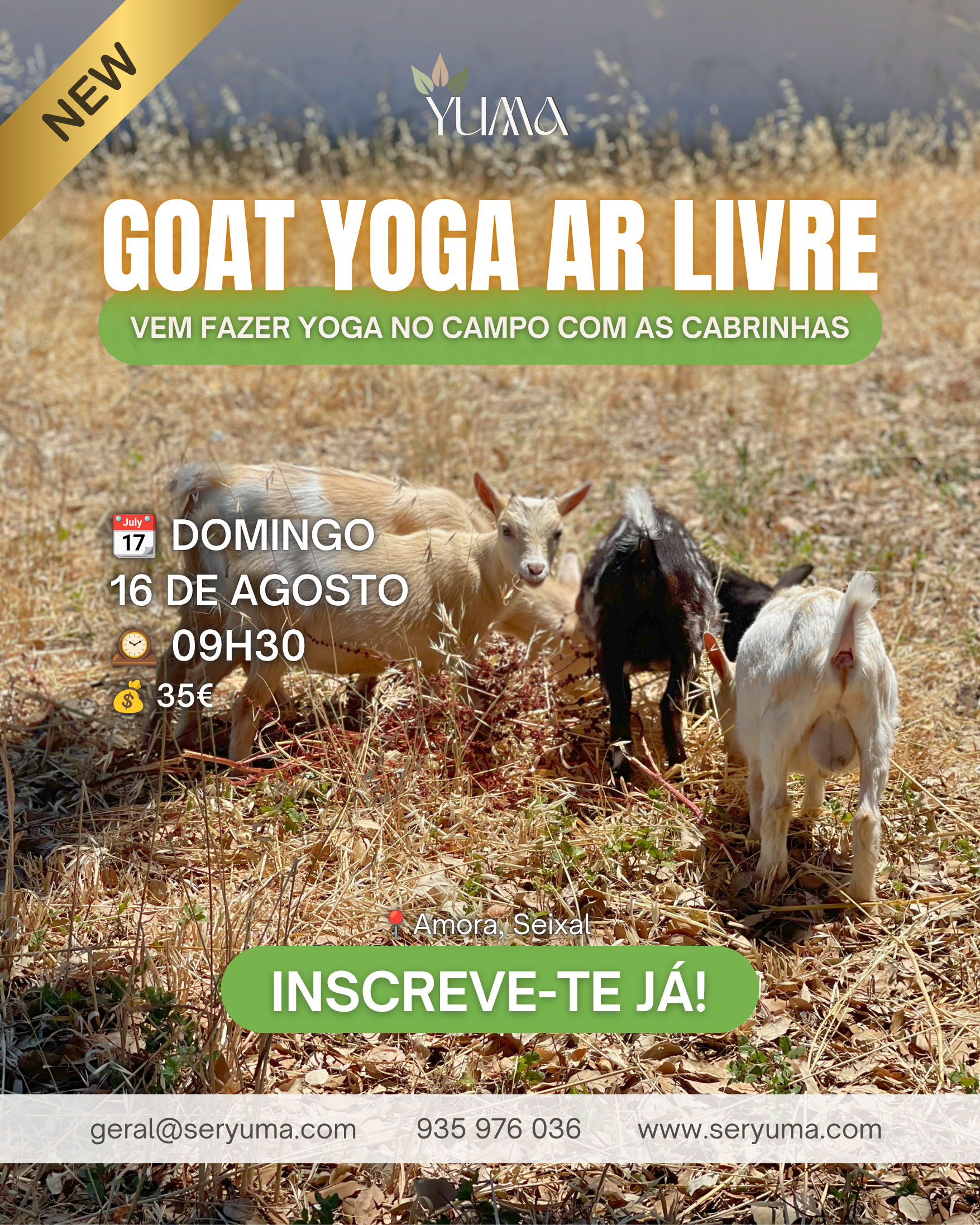 Goat Yoga ao Ar Livre