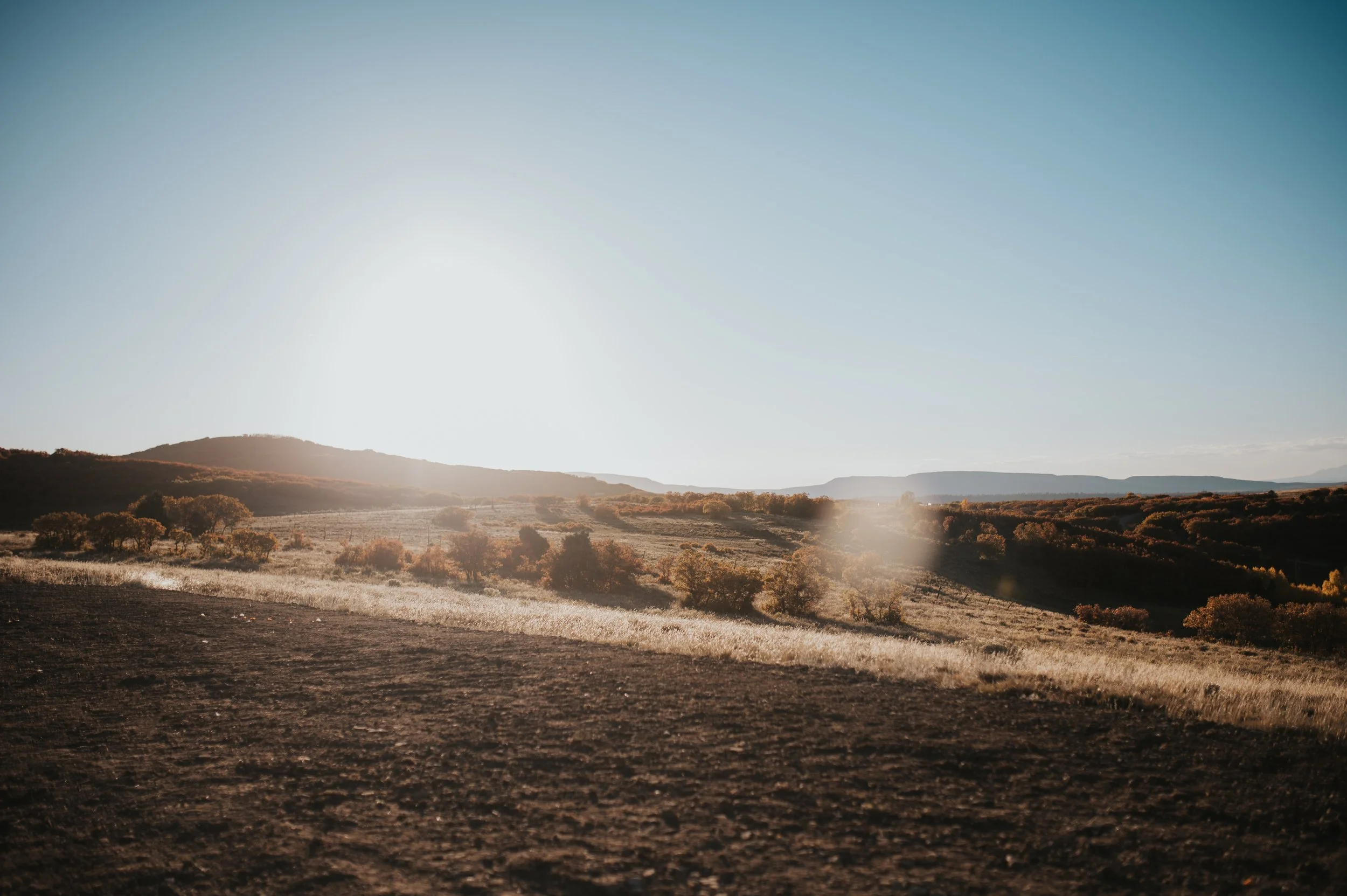 Open landscape with mountains, trees, and fields under clear blue sky during sunset or sunrise.