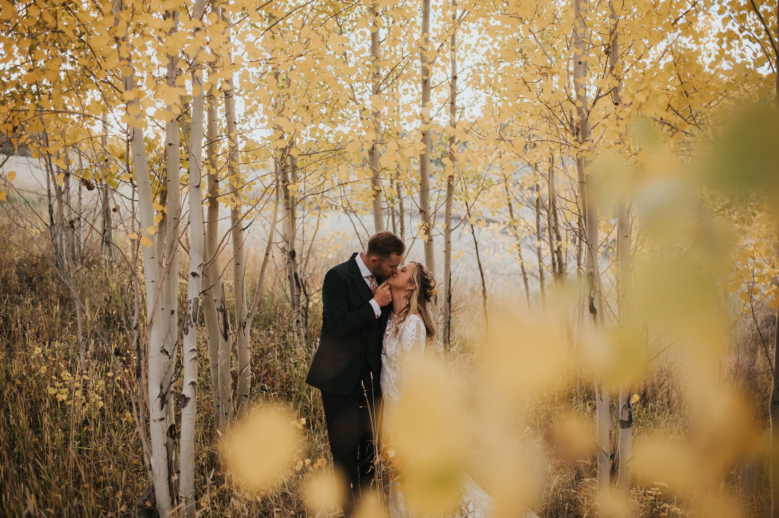 A couple in wedding attire kissing in a forest with autumn yellow leaves, tall white trees, and golden grass.