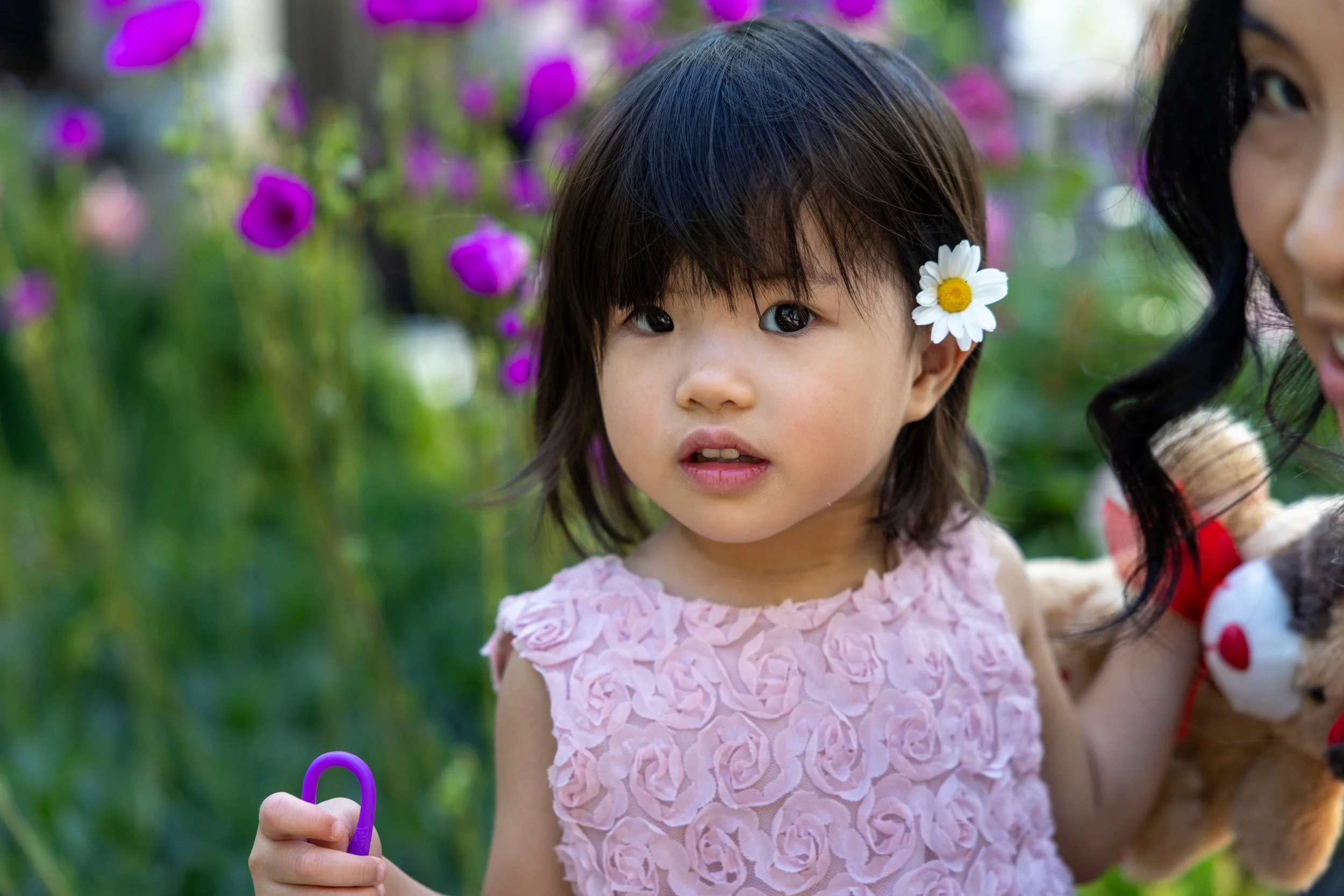 A young girl with dark hair and big eyes, wearing a pink dress with floral texture, has a white daisy in her hair near her ear, standing outdoors with purple flowers in the background.