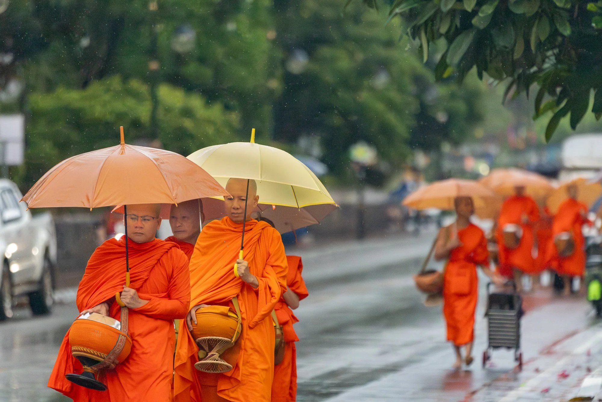 Two senior monks under umbrellas leading the morning alms procession, Luang Prabang, Laos