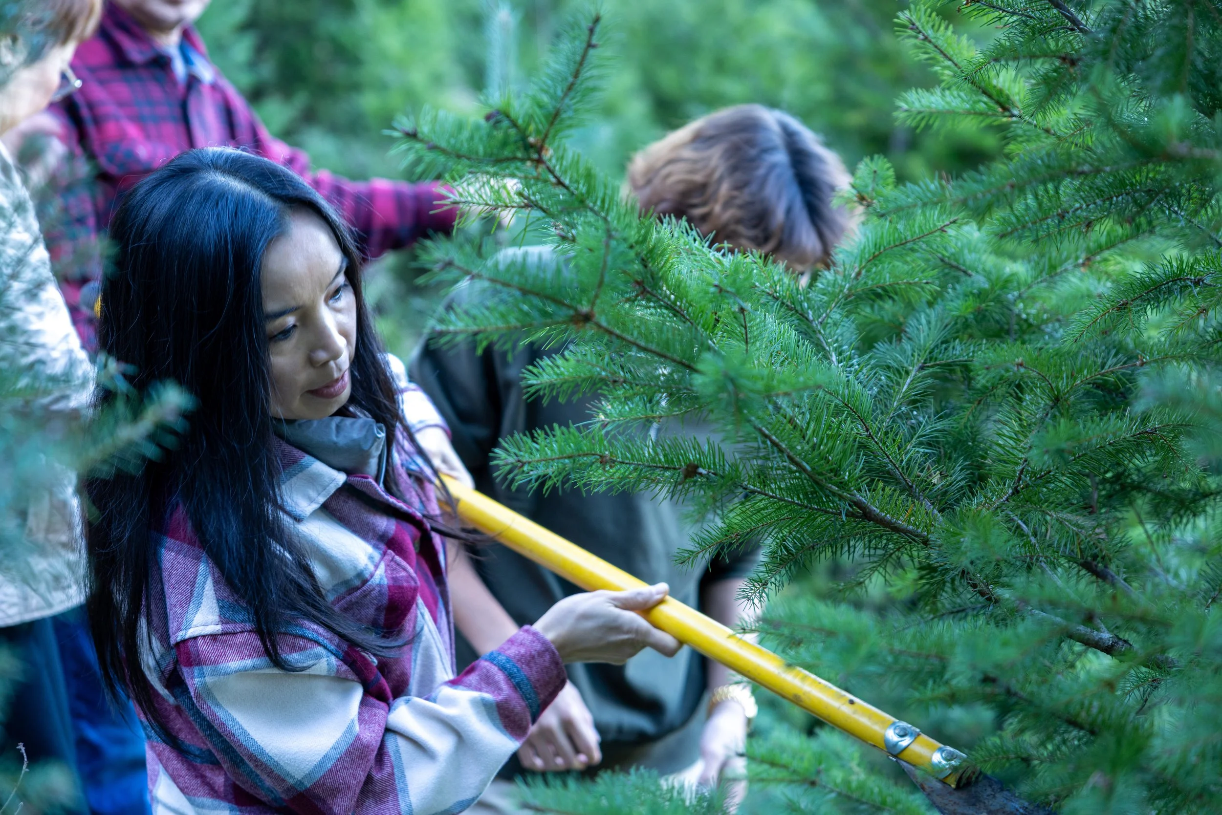 hands on saw cutting christmas tree trunk family working together