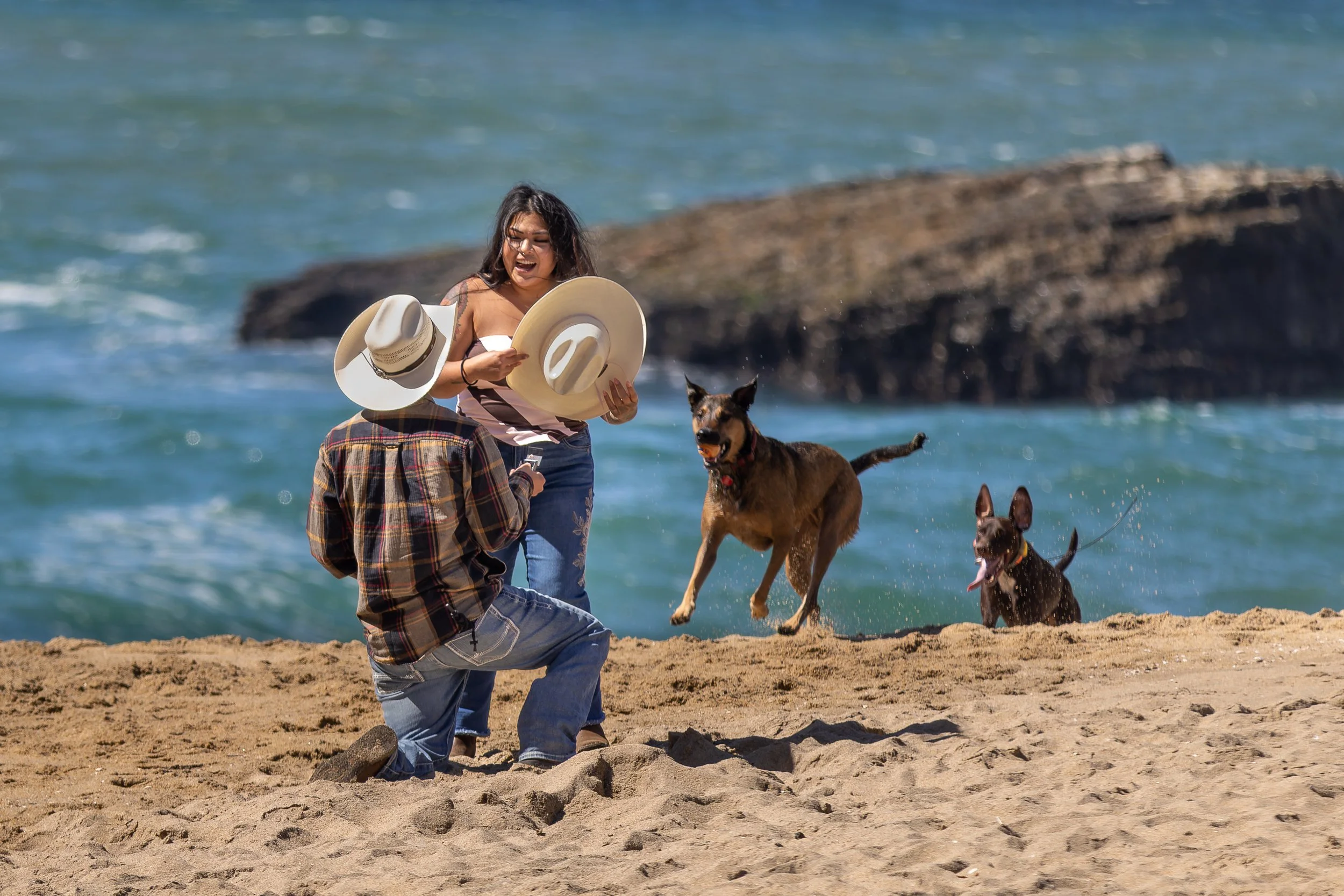 Surprise proposal at Panther Beach, Santa Cruz, with two dogs running past the couple