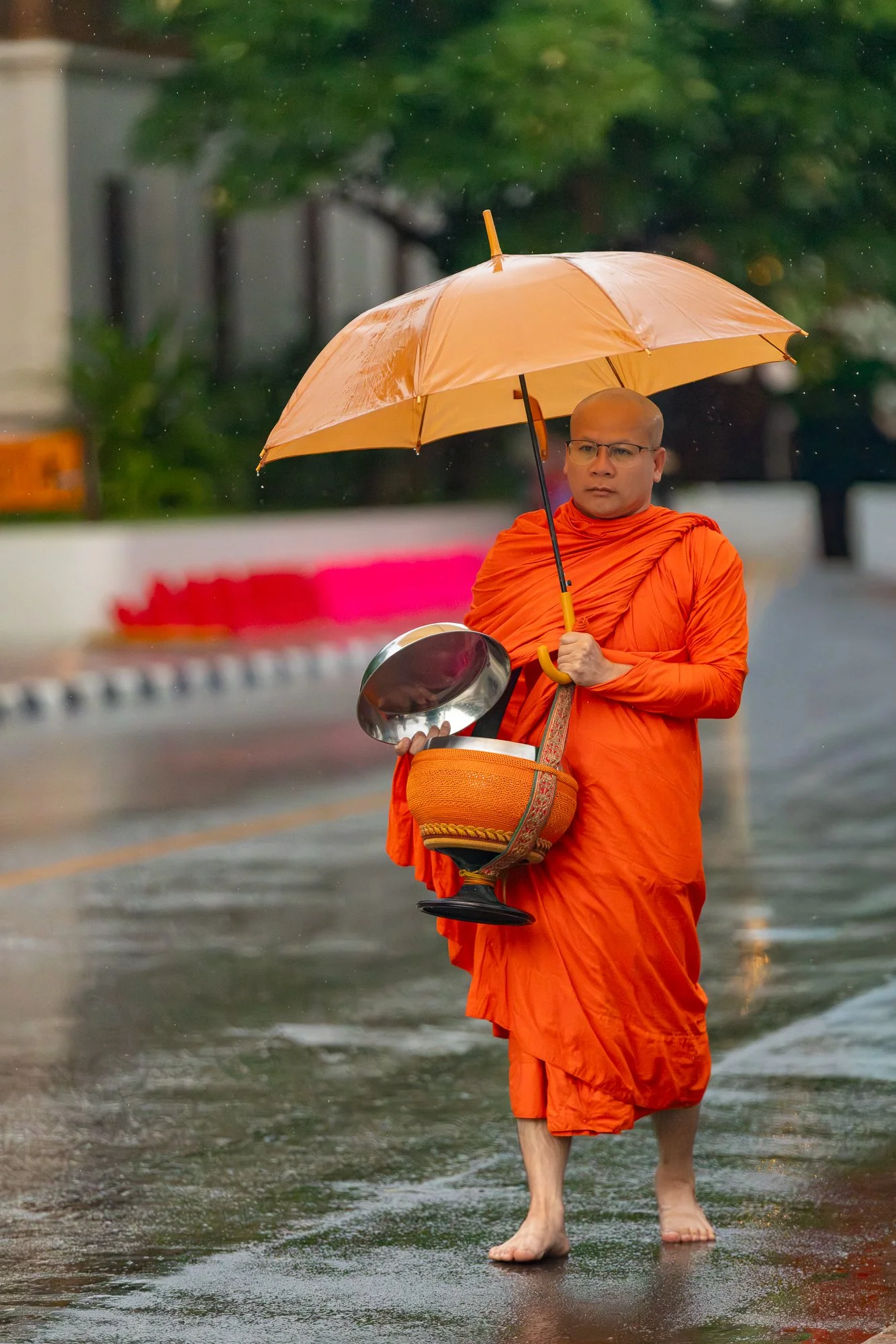 Senior monk carrying an alms bowl under an umbrella in morning rain, Luang Prabang, Laos