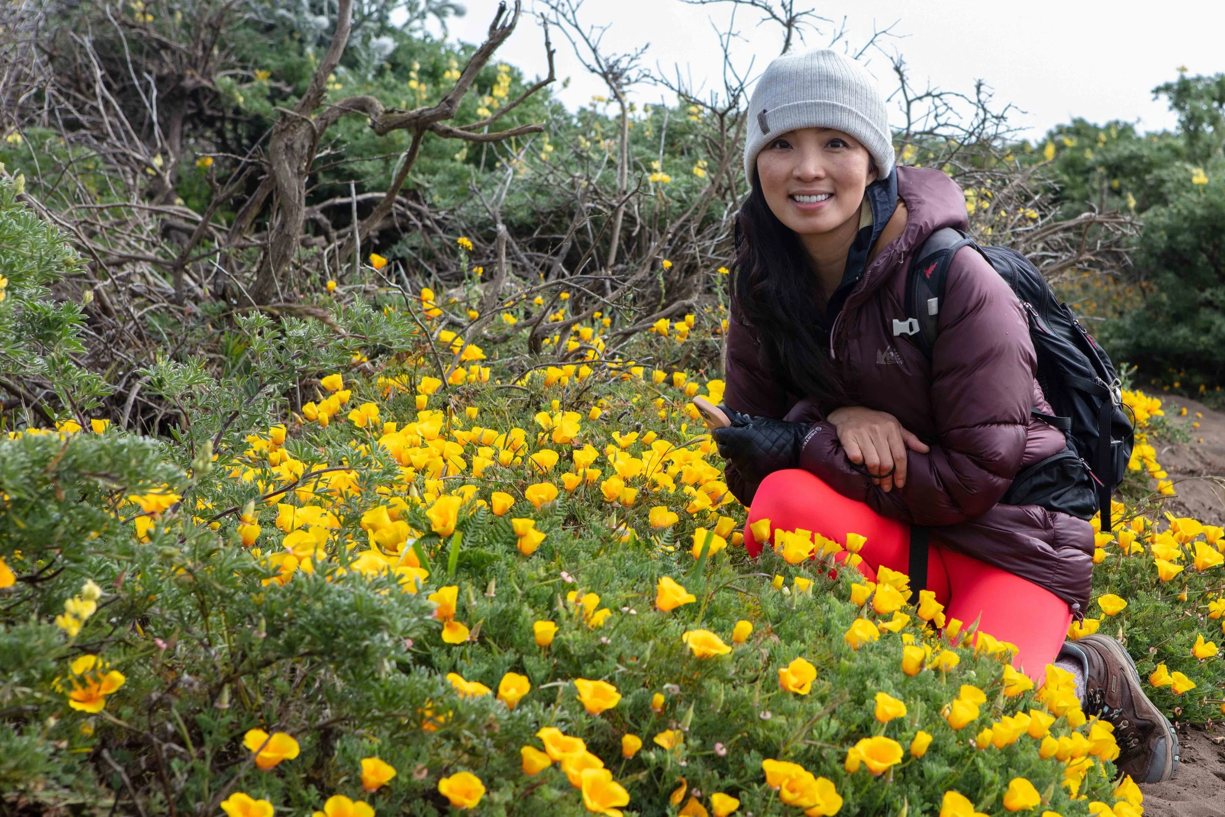 Personal lifestyle photography session Tomales Point Trail Point Reyes woman crouching among California poppies in spring