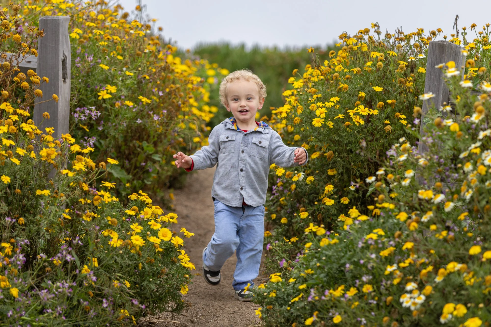 How to Choose a Family Photographer in the Bay Area (Who Actually Captures Your Family)