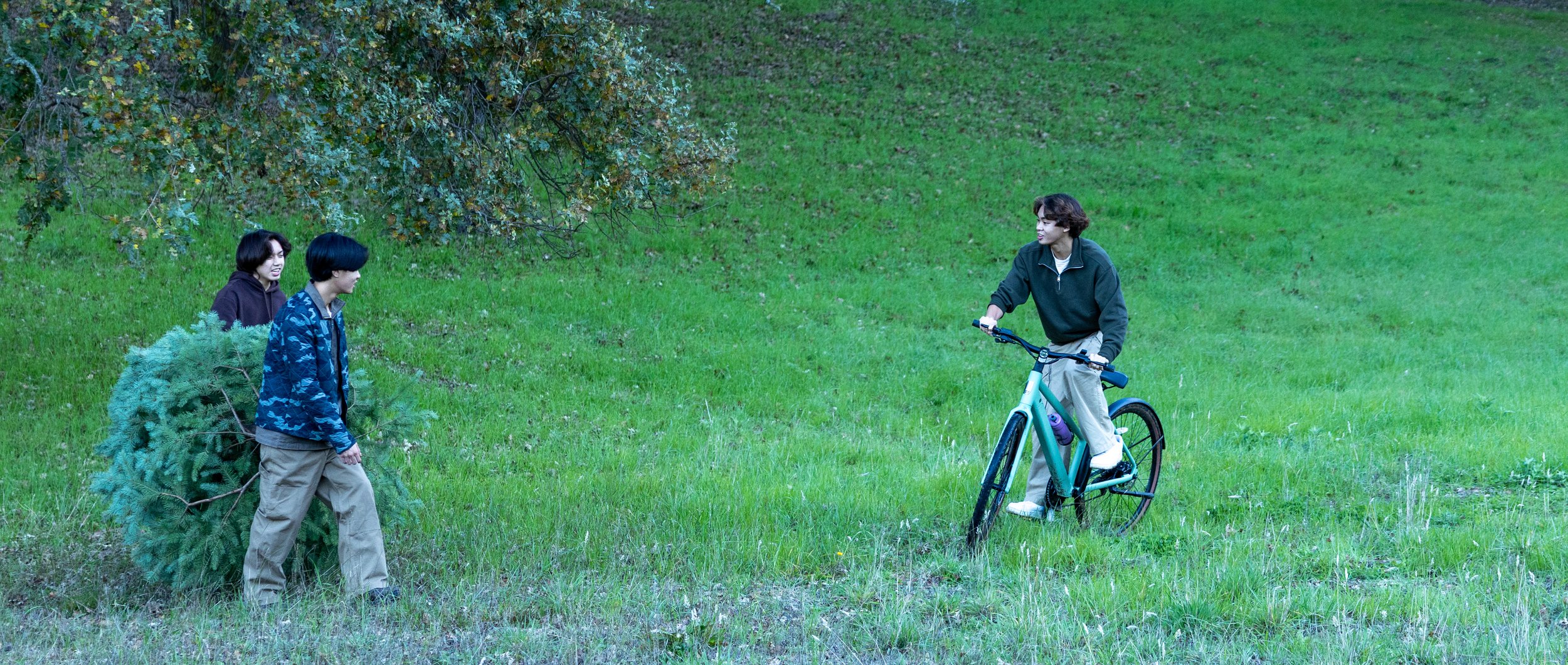 Boys carry tree while one cycles ahead