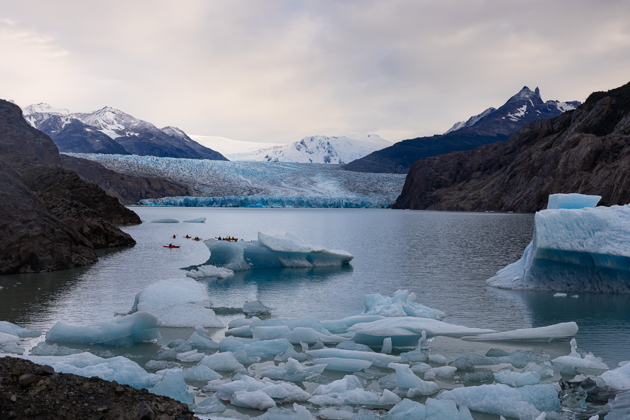 Blue icebergs drifting on Lago Grey at dusk with Glacier Grey calving face in background and kayakers visible in the distance, Torres del Paine
