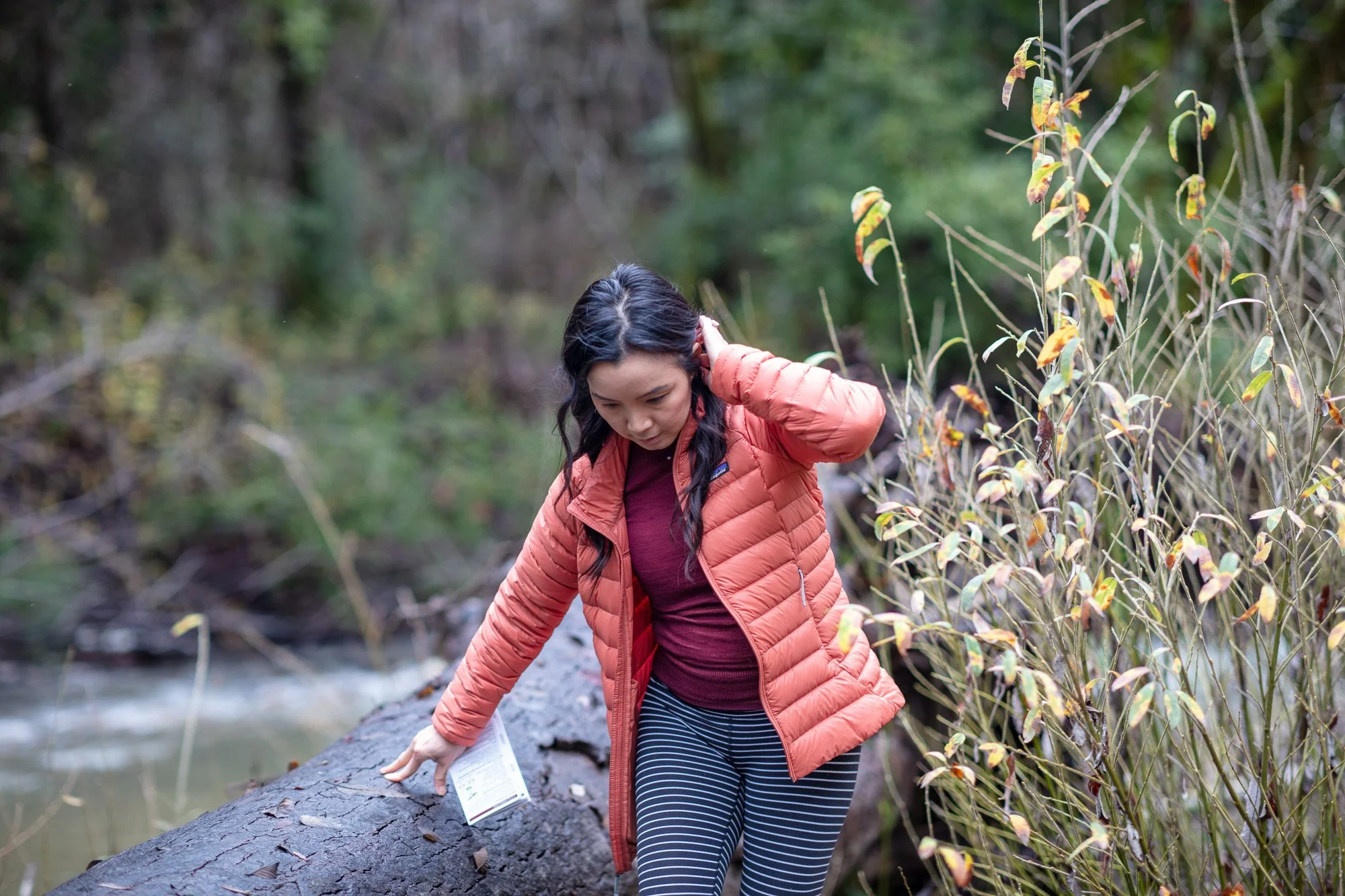 Woman in orange jacket navigating mossy log over creek surrounded by autumn foliage, Bay Area mushroom foraging trail