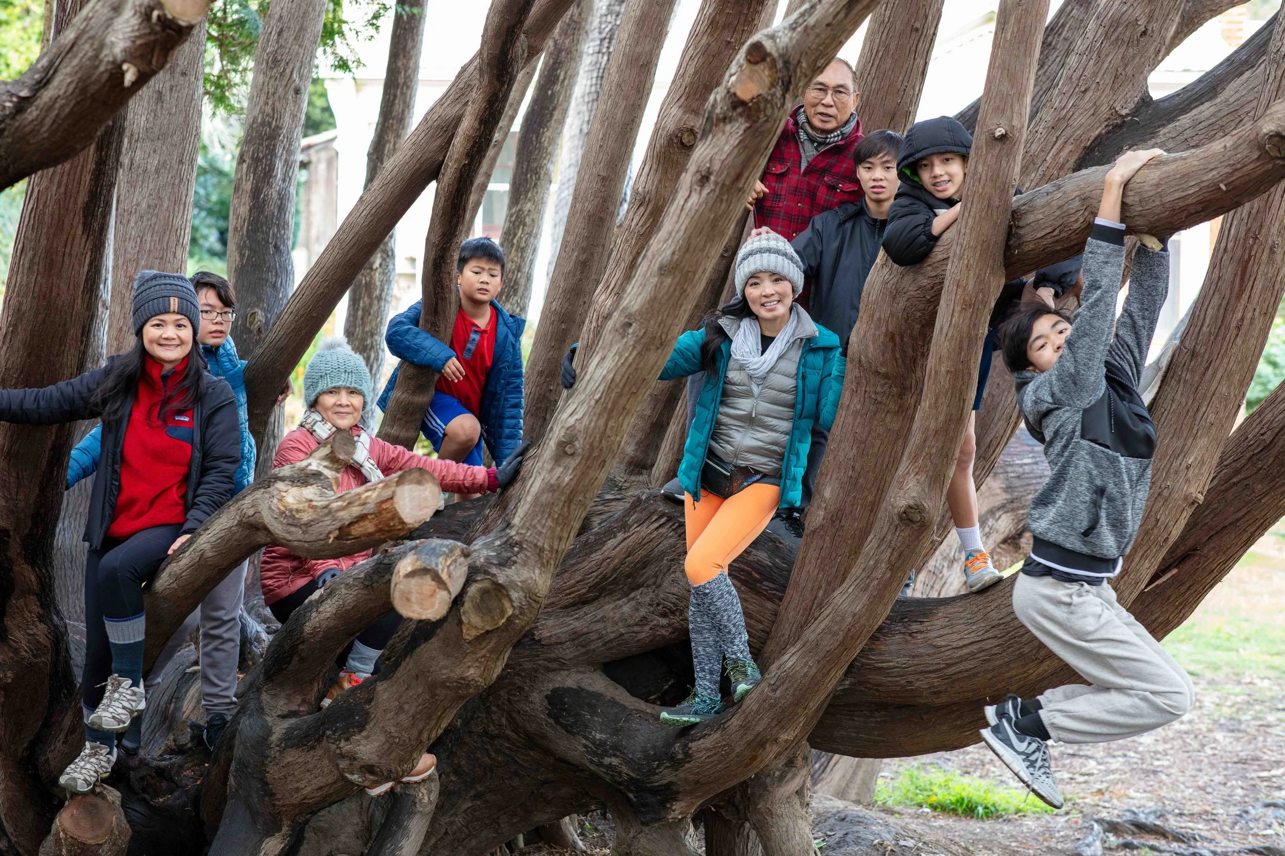 Adventure photography of a family Bay Area - Group of children and adults climbing and playing on a large tree outdoors.