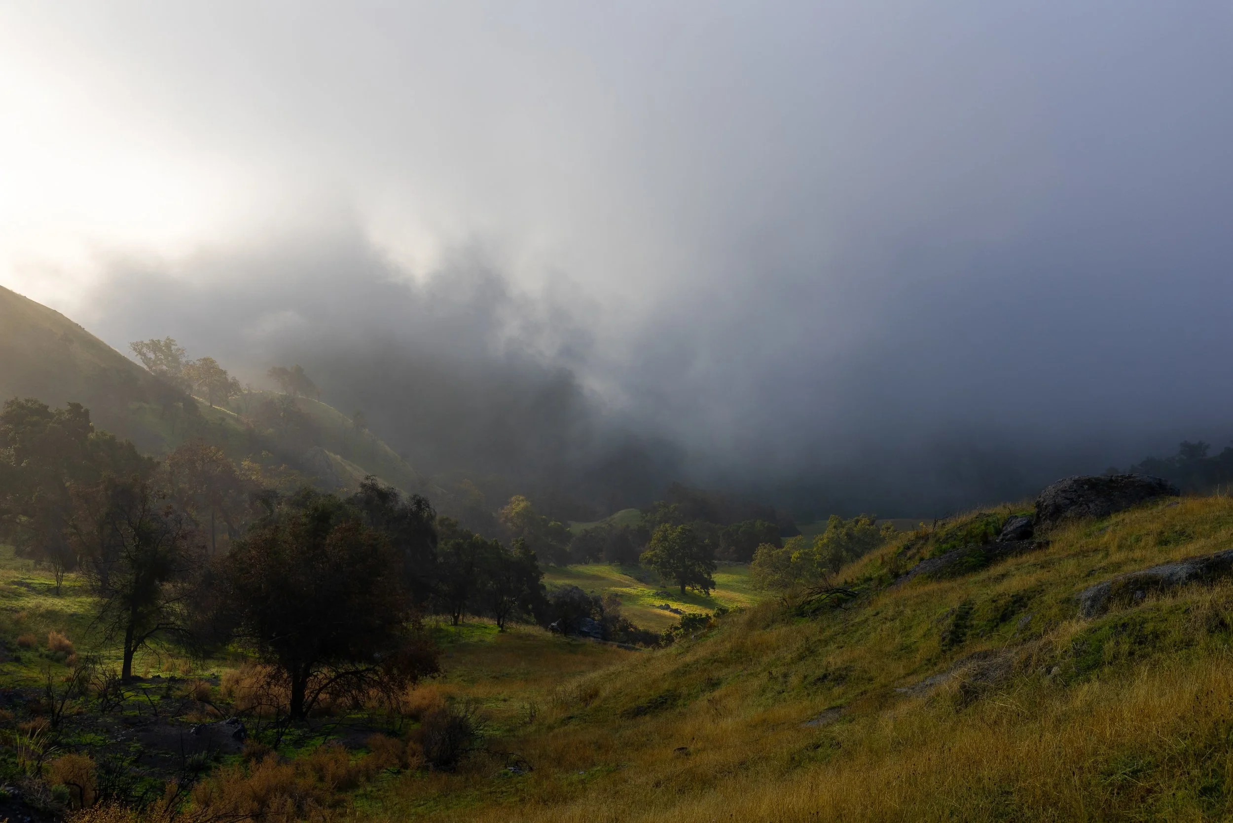 A foggy mountain landscape with green hills, scattered trees, and dark clouds overhead.