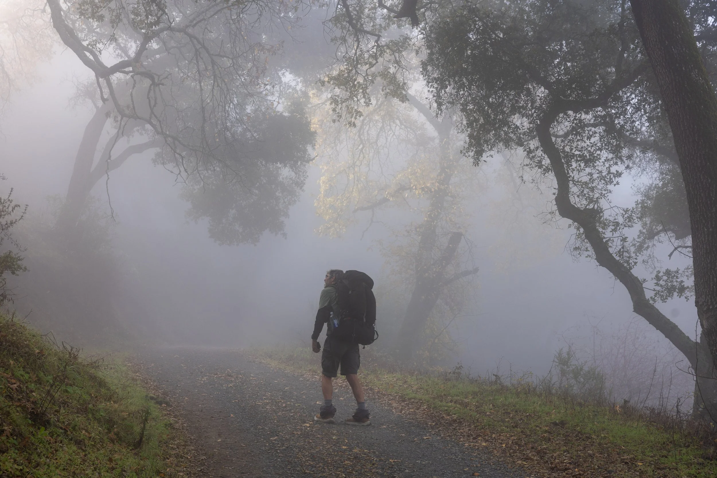 A hiker with a backpack walking on a foggy trail through a wooded area with tall trees and mist surrounding him.