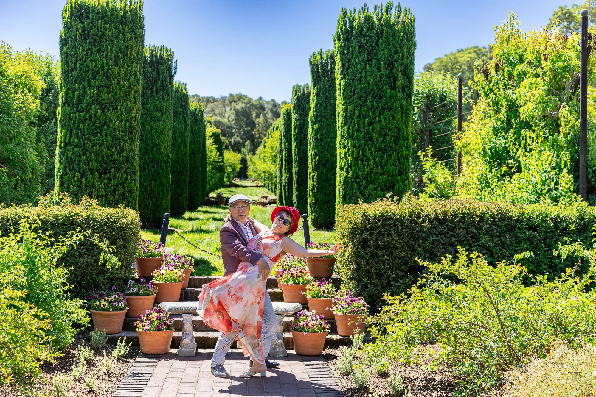 Older couple dancing in Filoli sunken garden, cypress columns, peak movement spring portrait