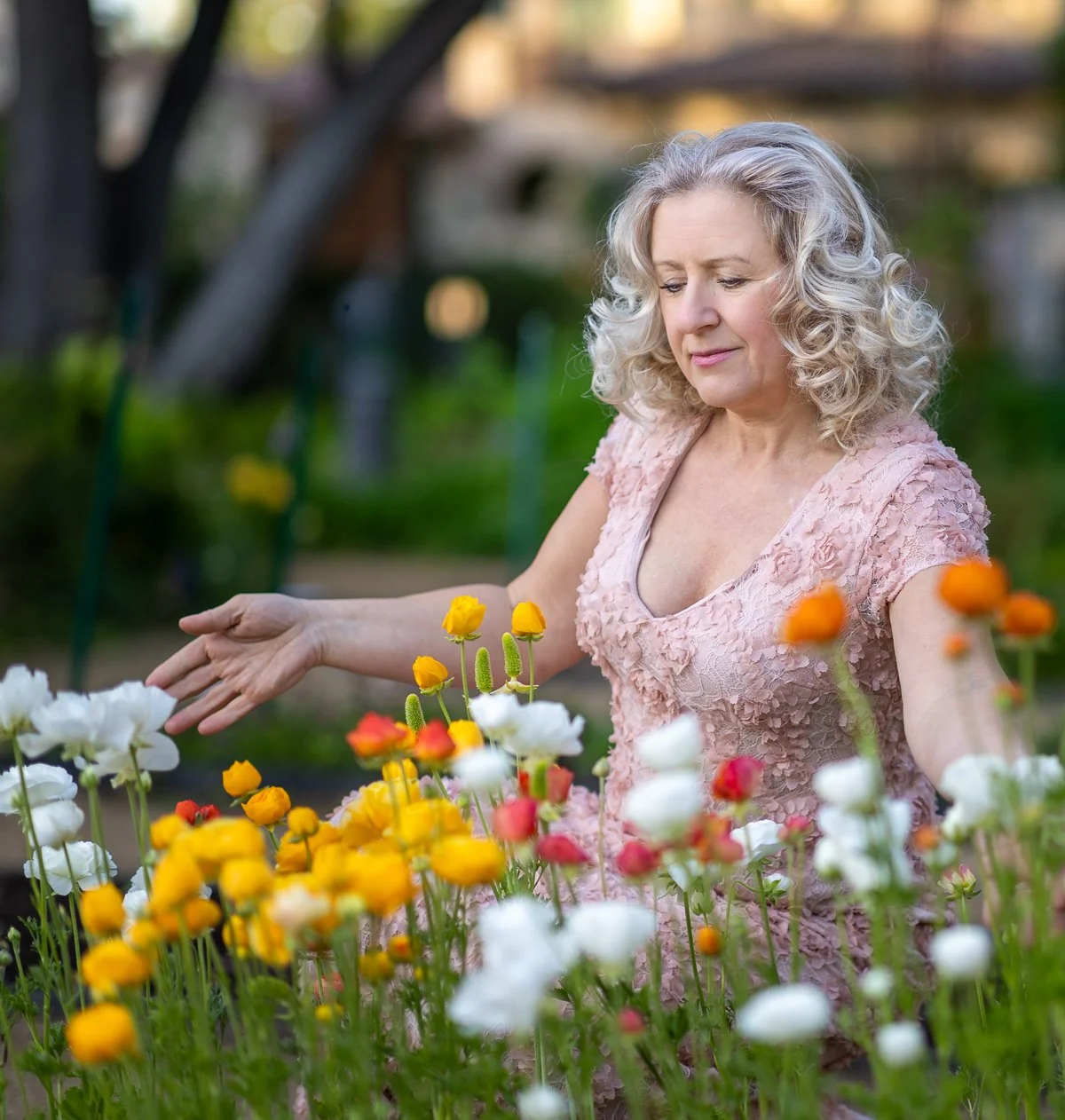 Woman in pink lace dress reaching into colorful ranunculus flower bed at Gamble Garden, candid natural light portrait, Palo Alto