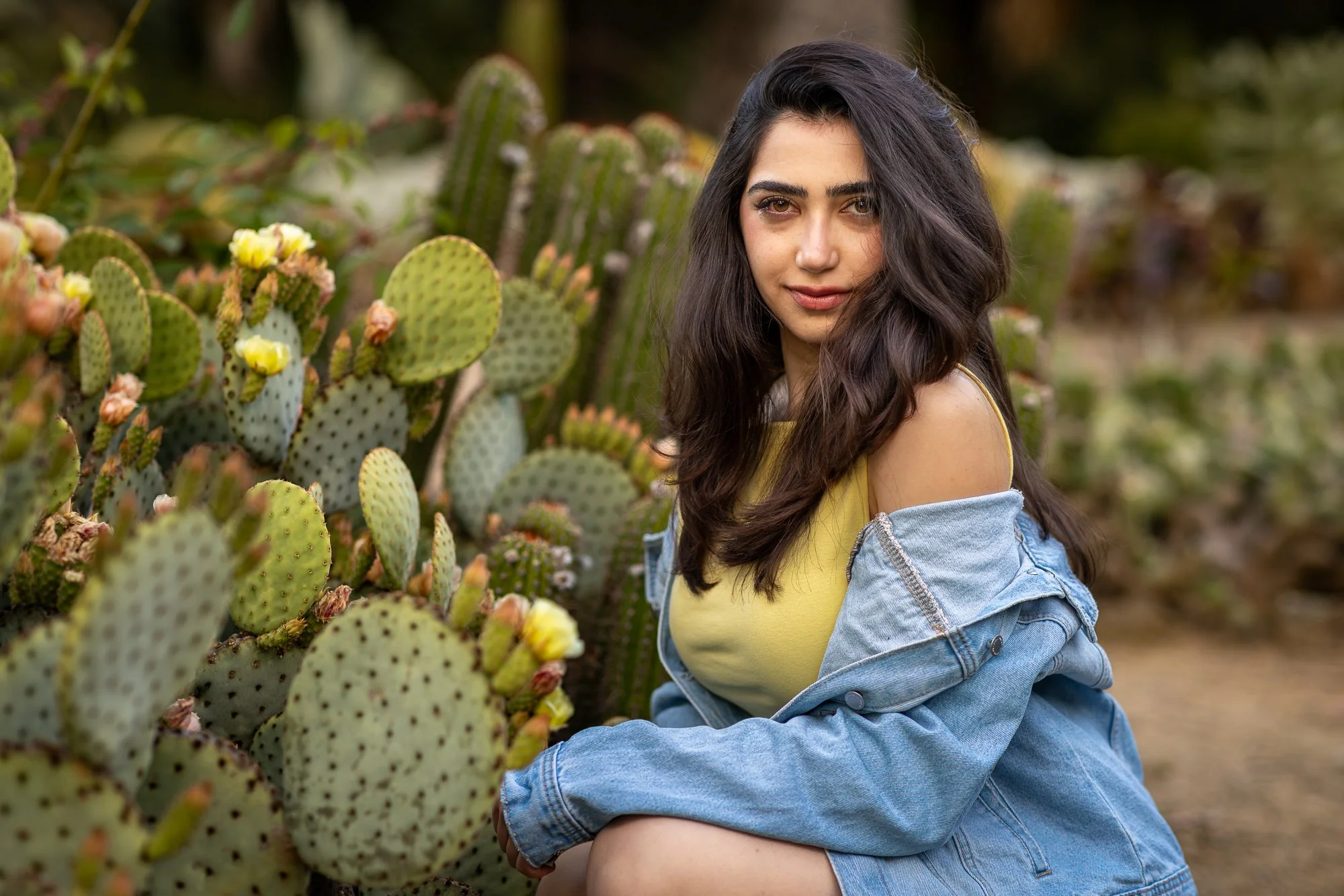Yellow top portrait beside flowering prickly pear cactus at Stanford Cactus Garden, Bay Area